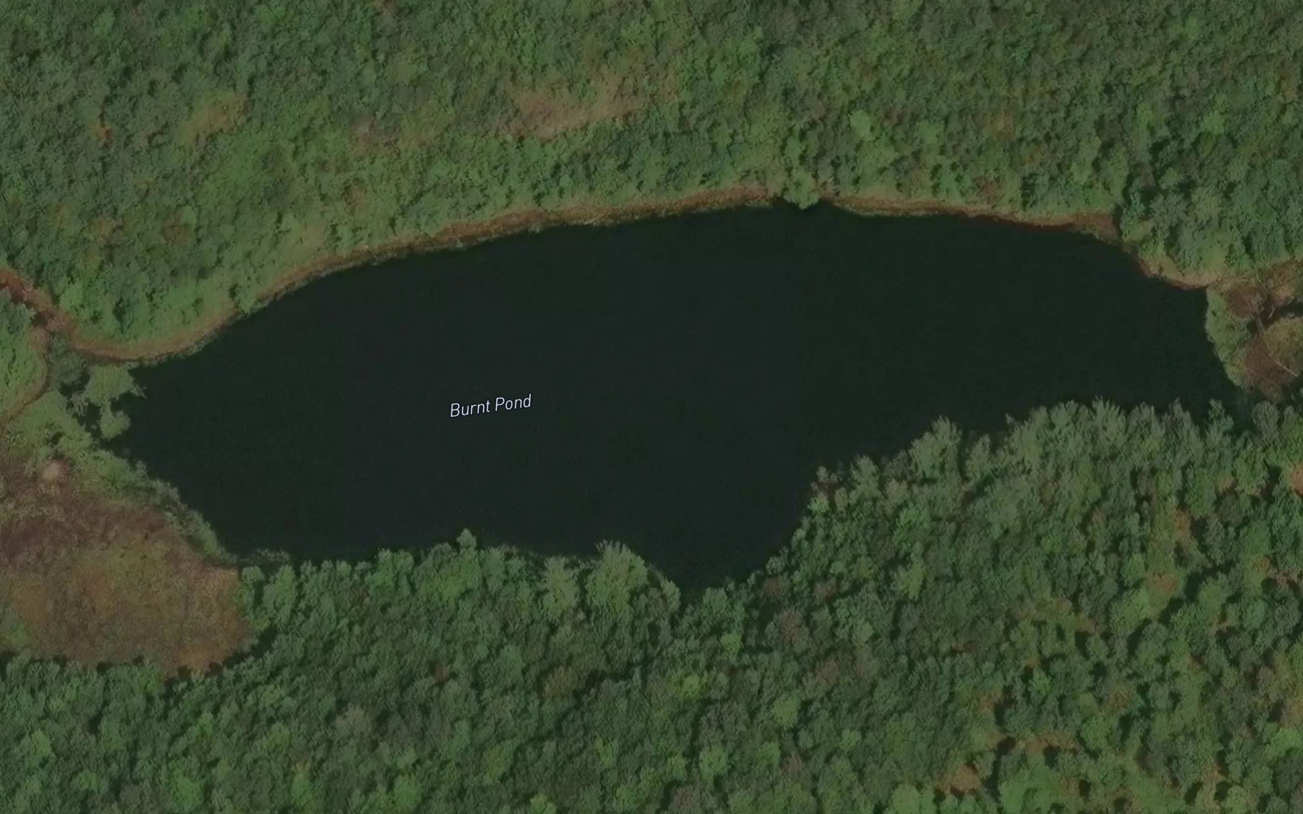 Burnt Pond