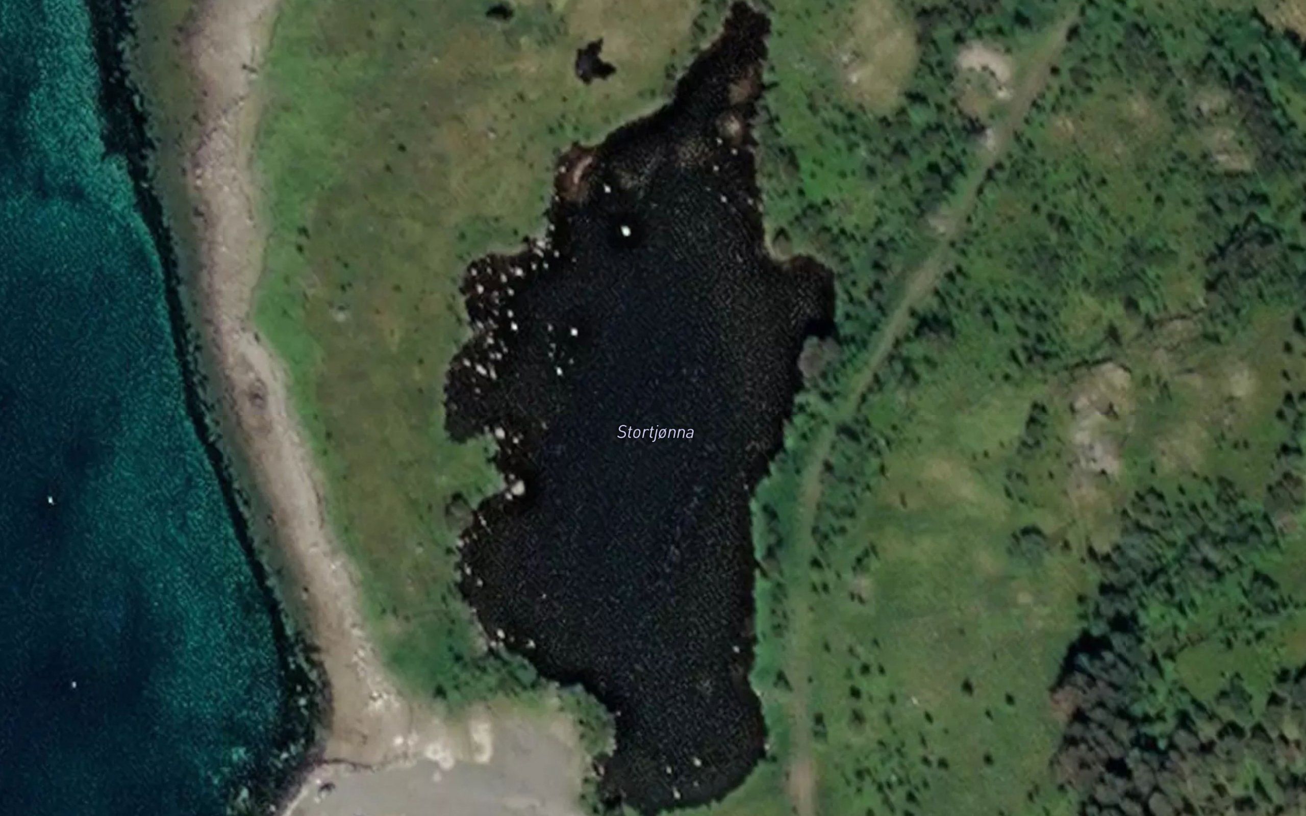 Stortjonna