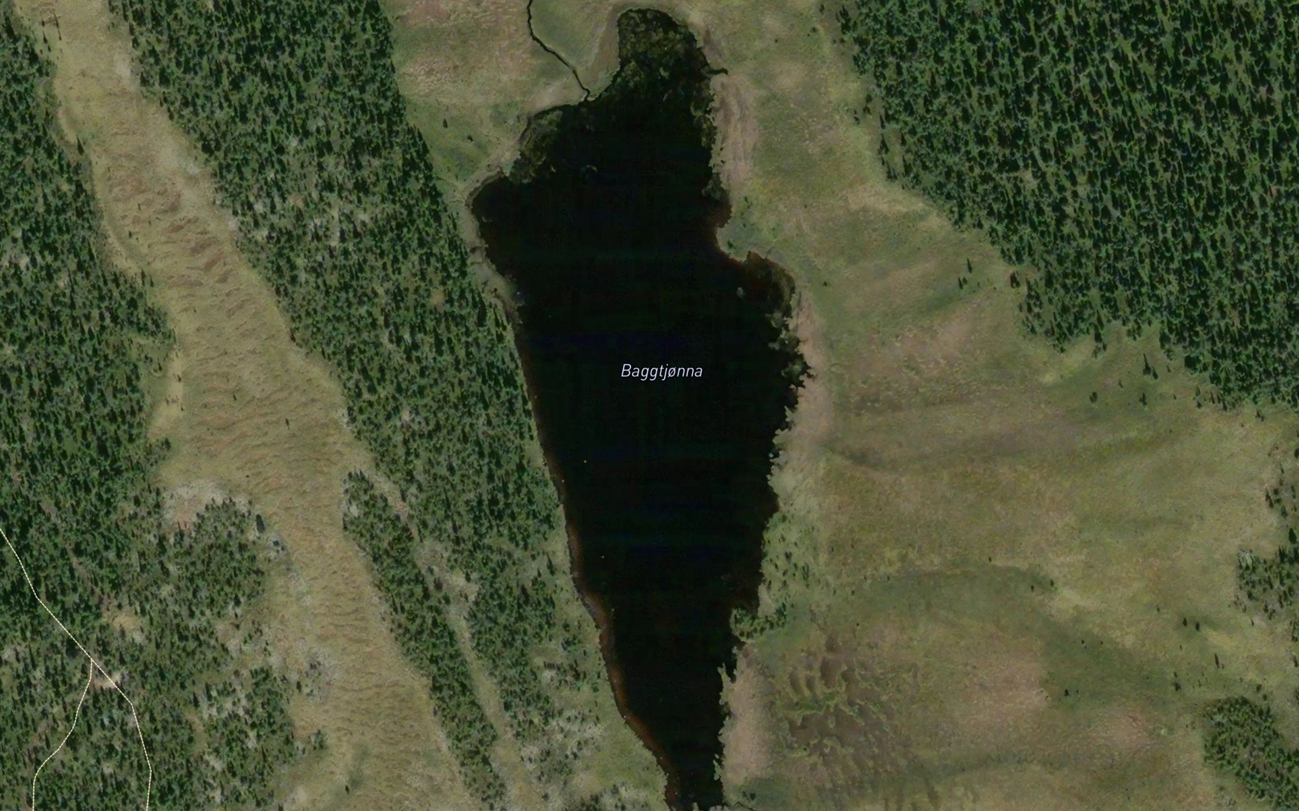 Baggtjorna