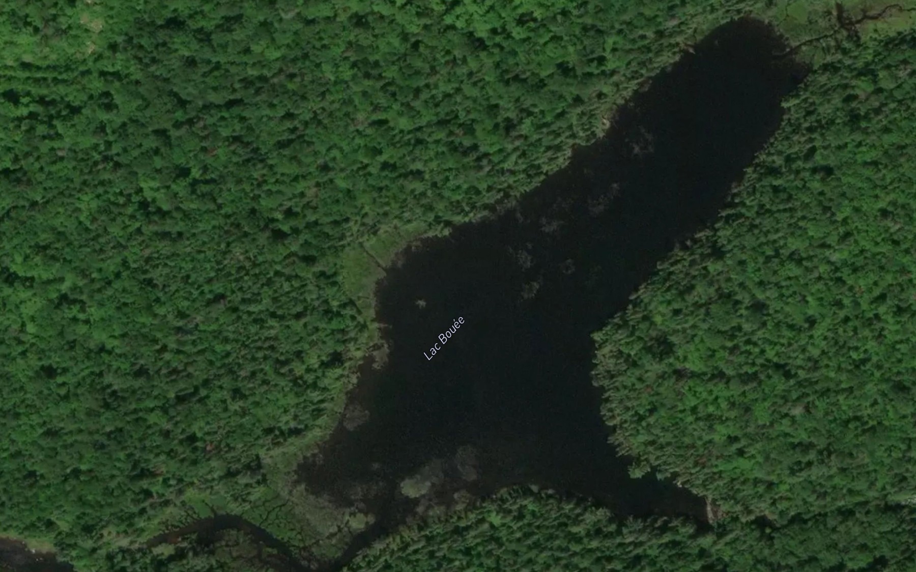 Satellite map of the Lac Bouee