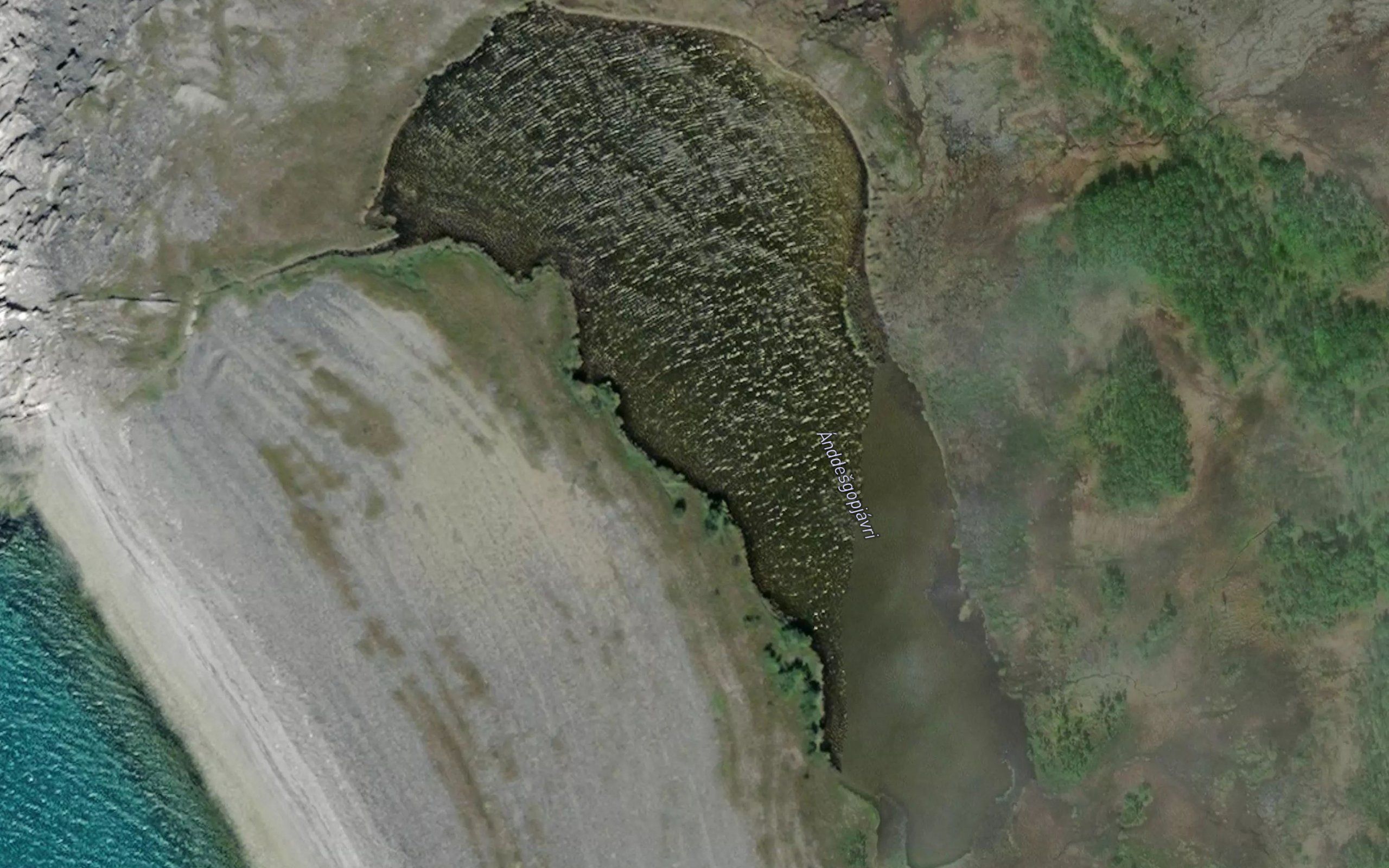 Andesgapjavri