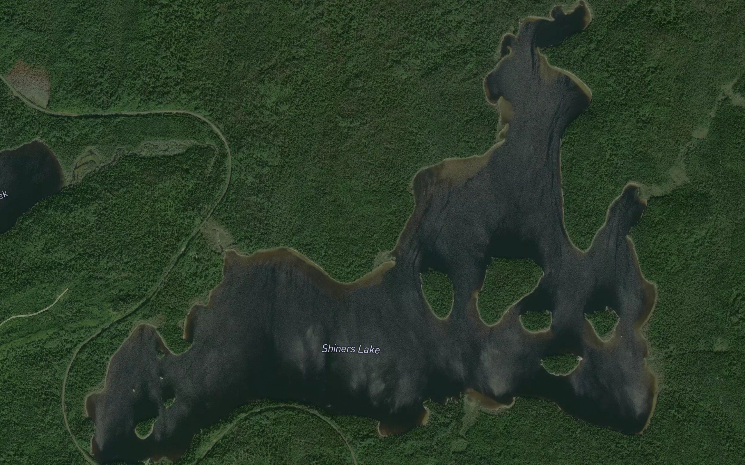 Shiners Lake