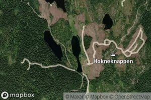 Hoknetjernet