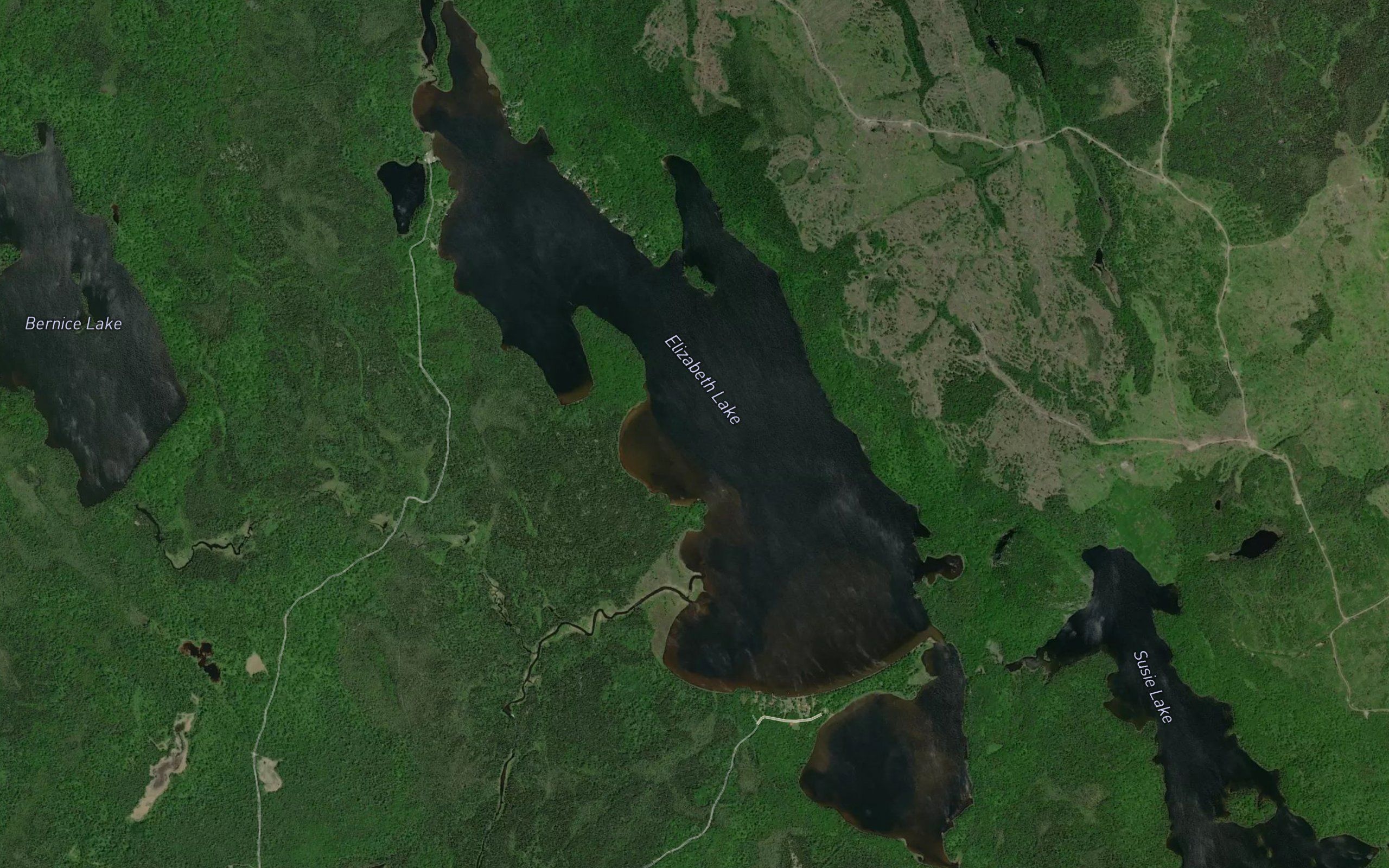 Elizabeth Lake