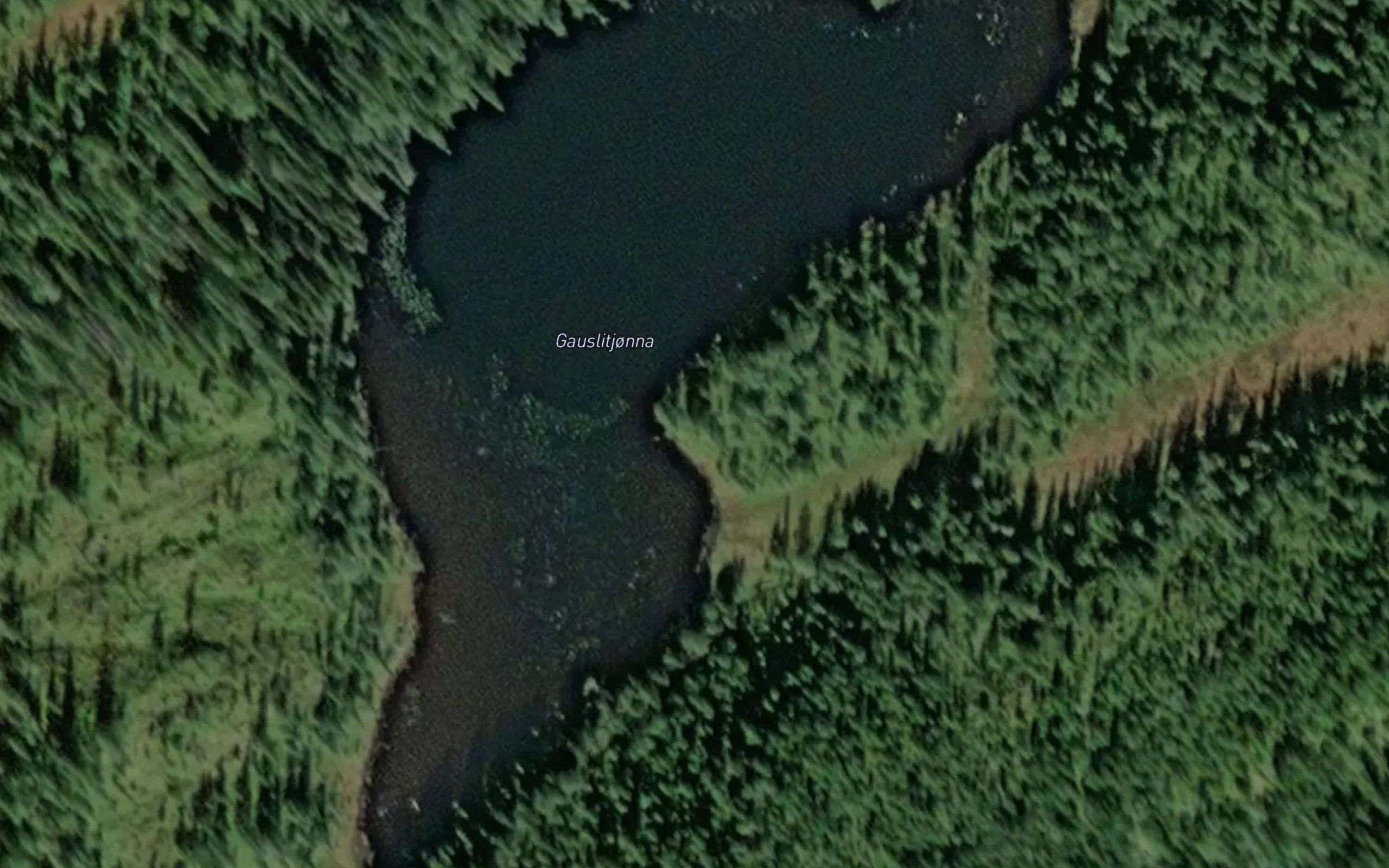Gauslitjonna