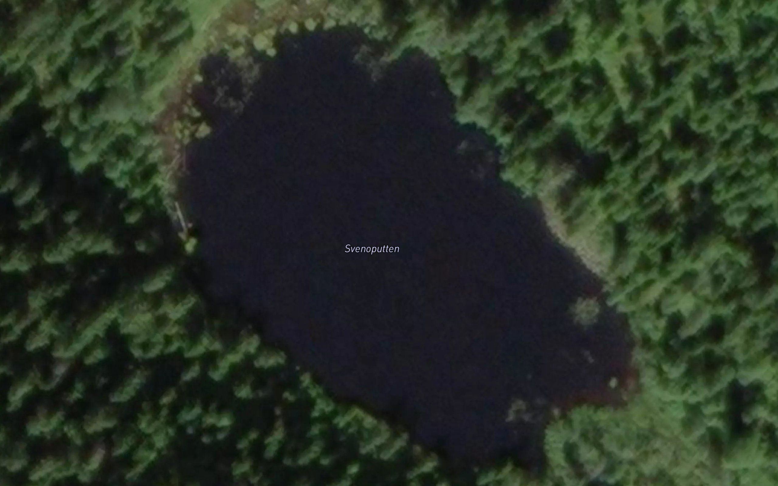 Svenaputten