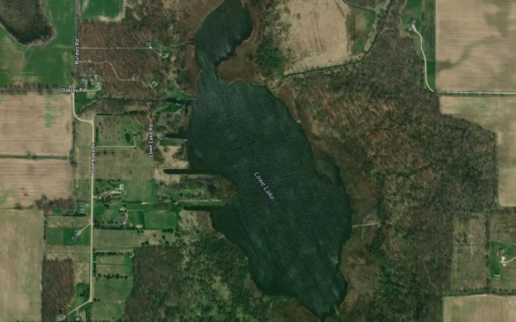 Satellite map of the Lowe Lake