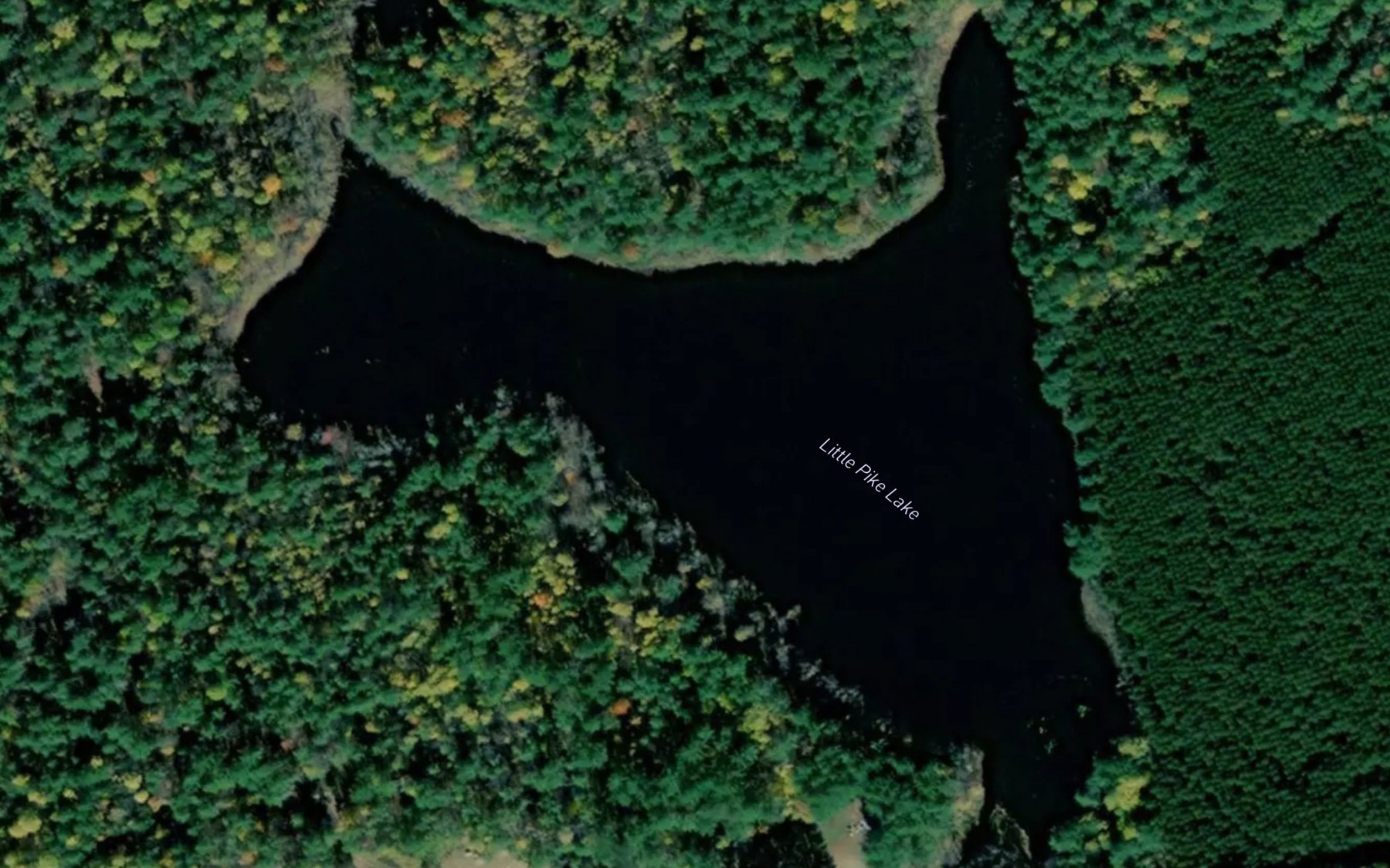 Satellite map of the Little Pike Lake