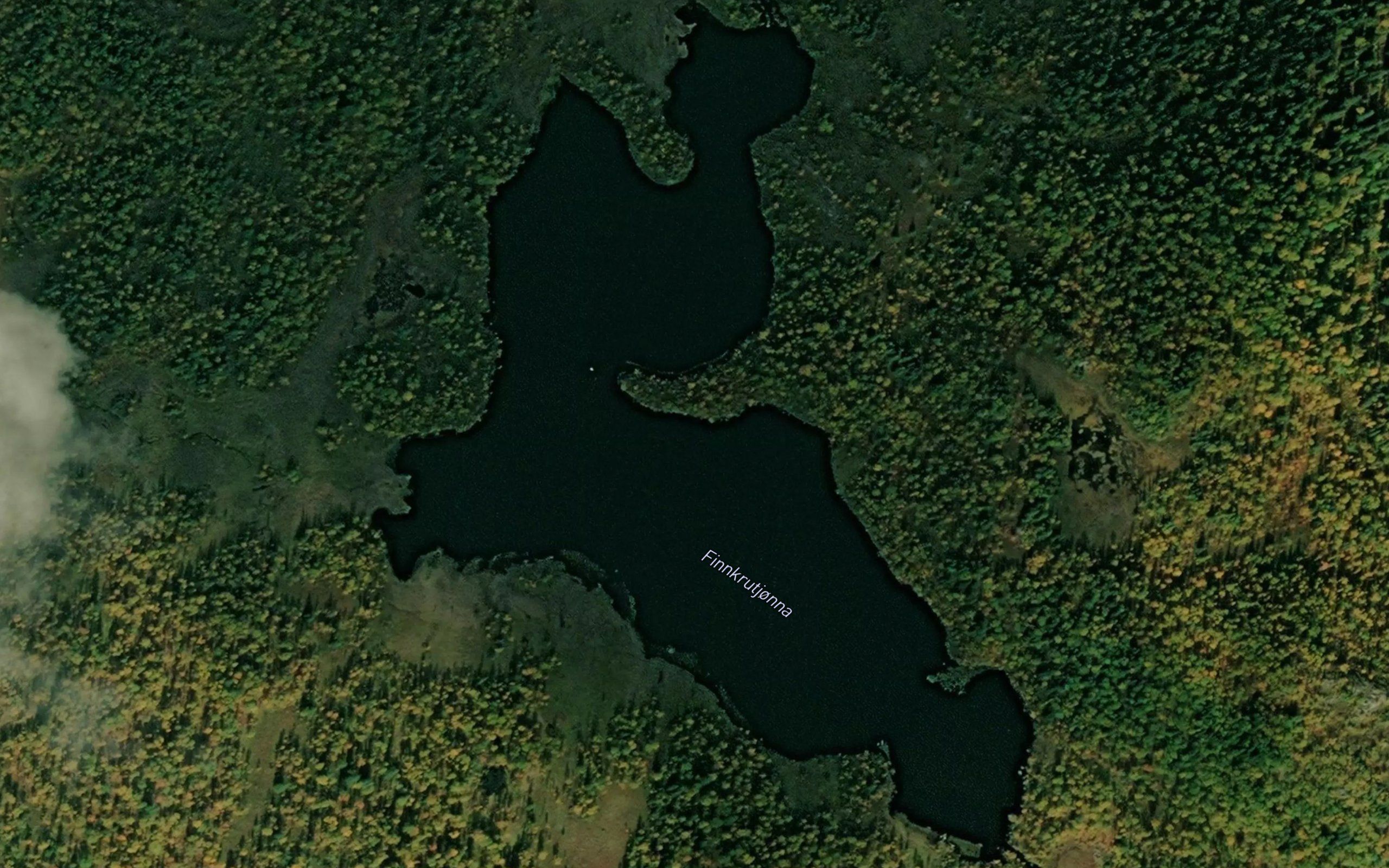 Finnkrutjorna