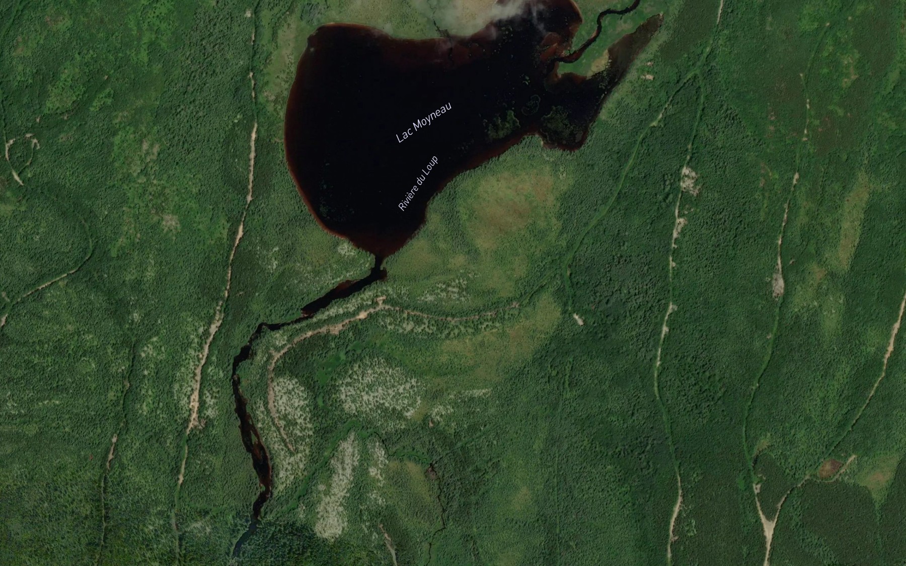 Satellite map of the Lac Moyneau