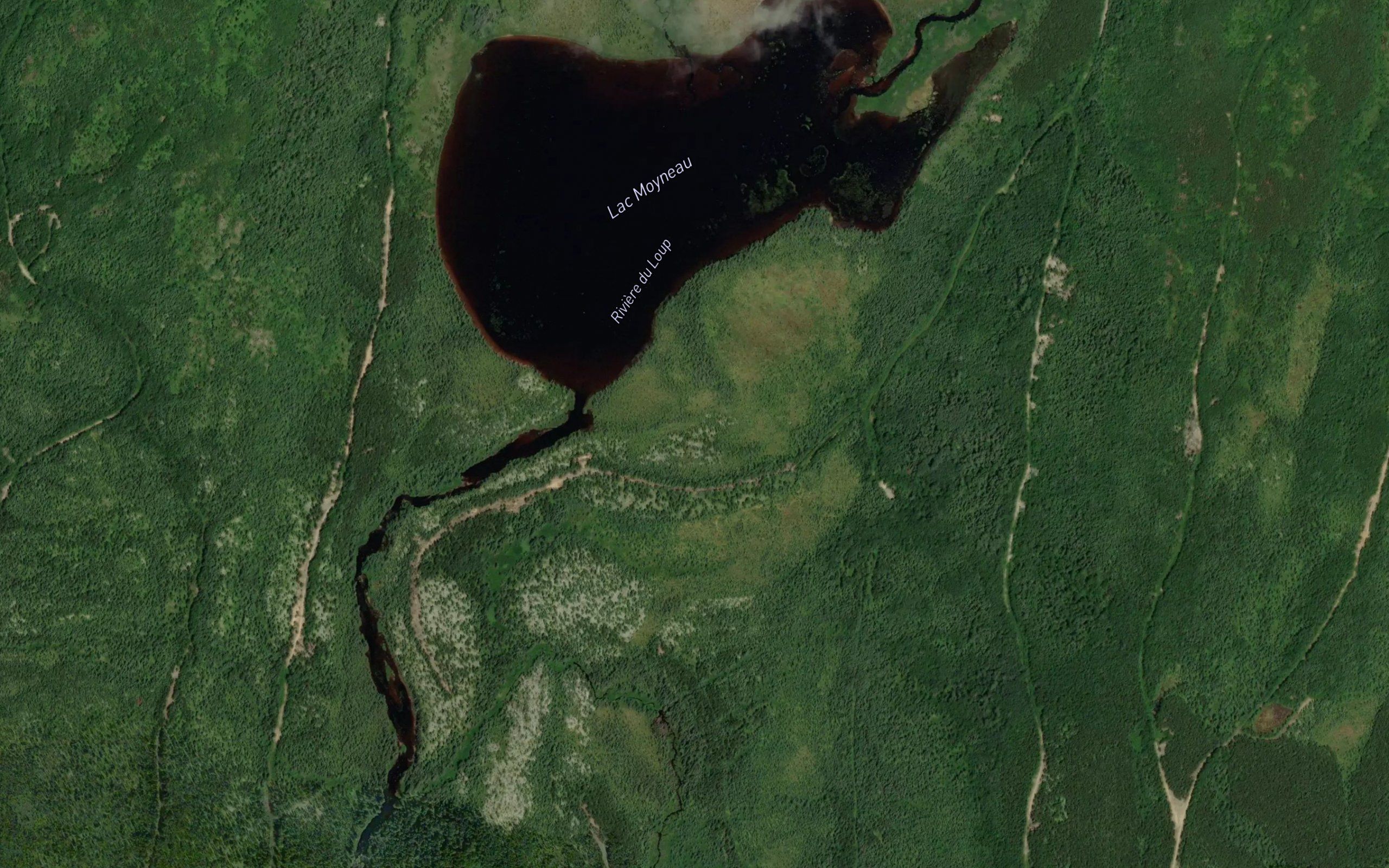 Lac Moyneau