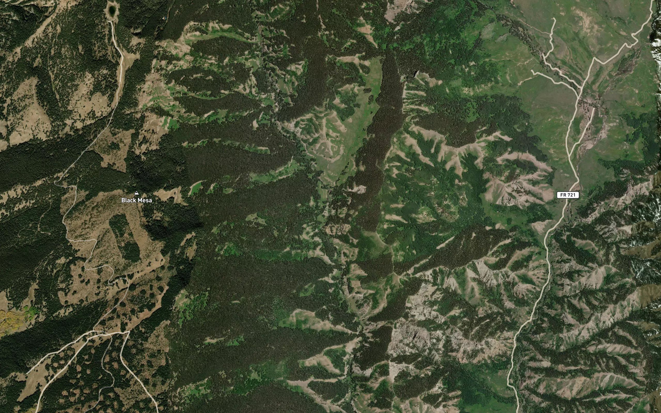Dry Fork Curecanti Creek