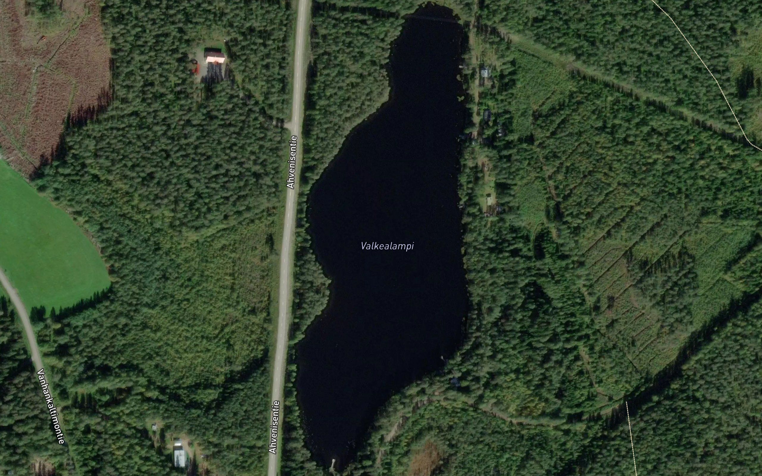 Valkealampi