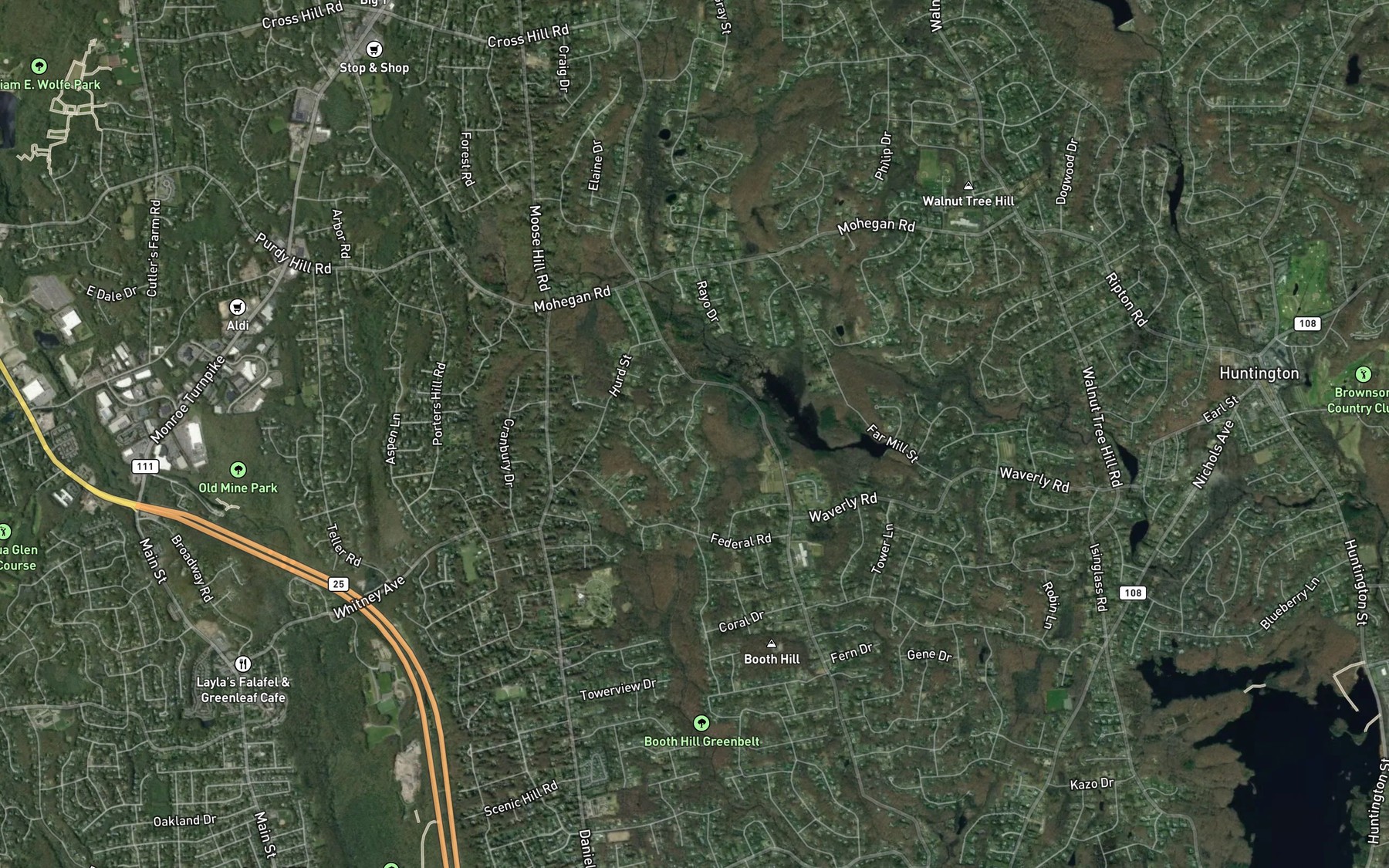 Satellite map of the Bantam Pond