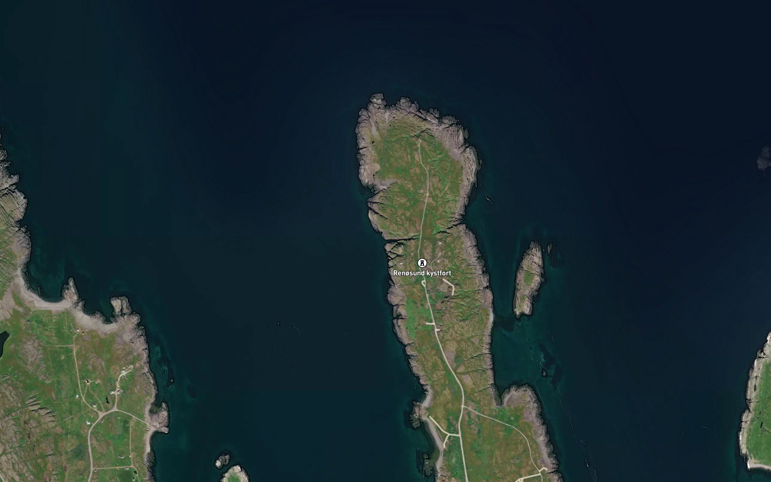 Ramnflogkeila