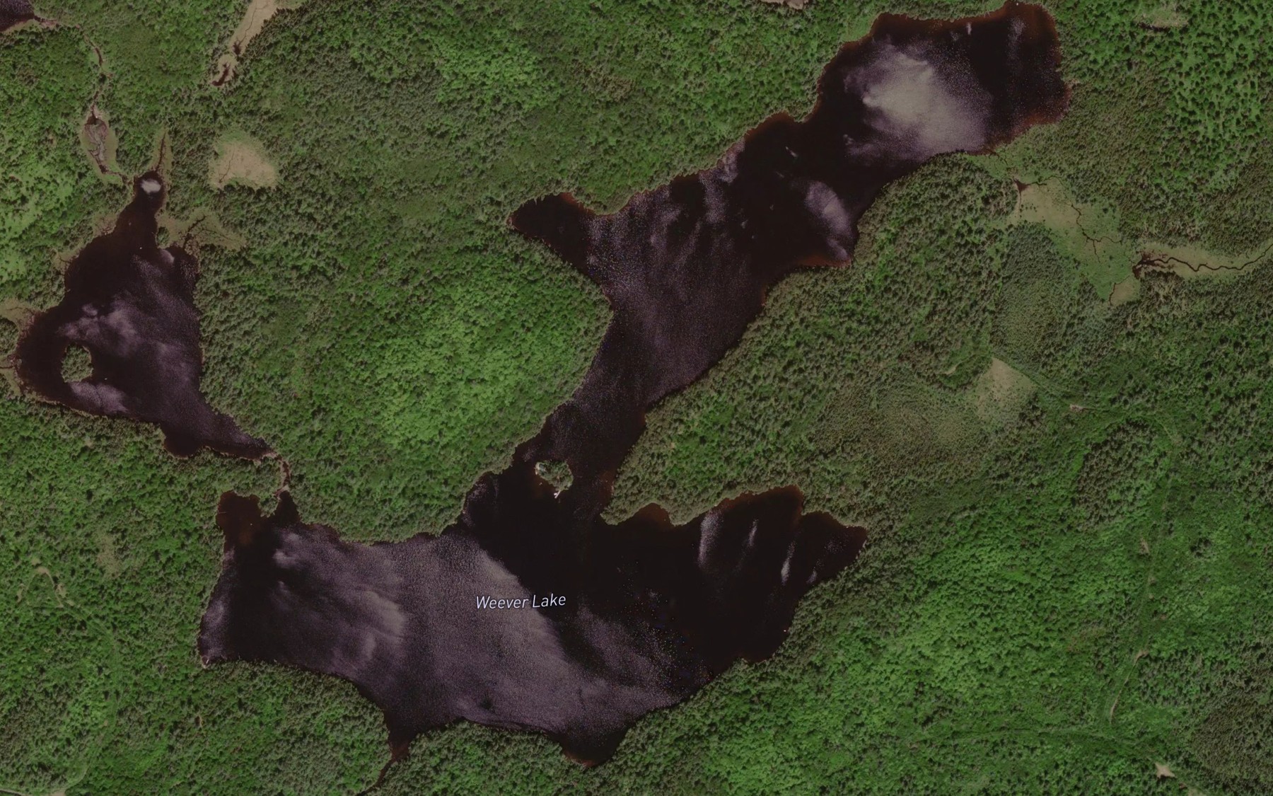 Satellite map of the Weever Lake
