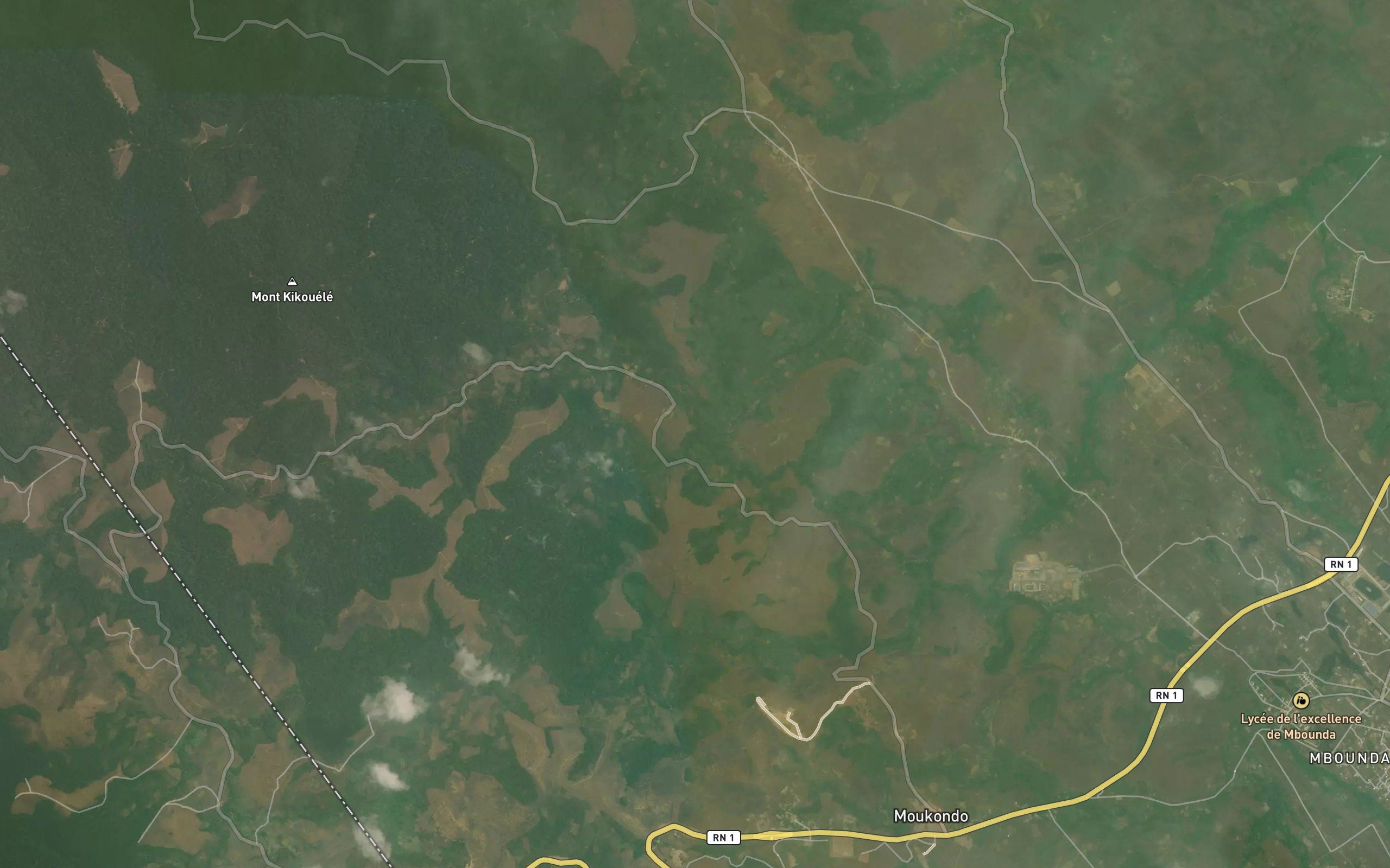 Makongo