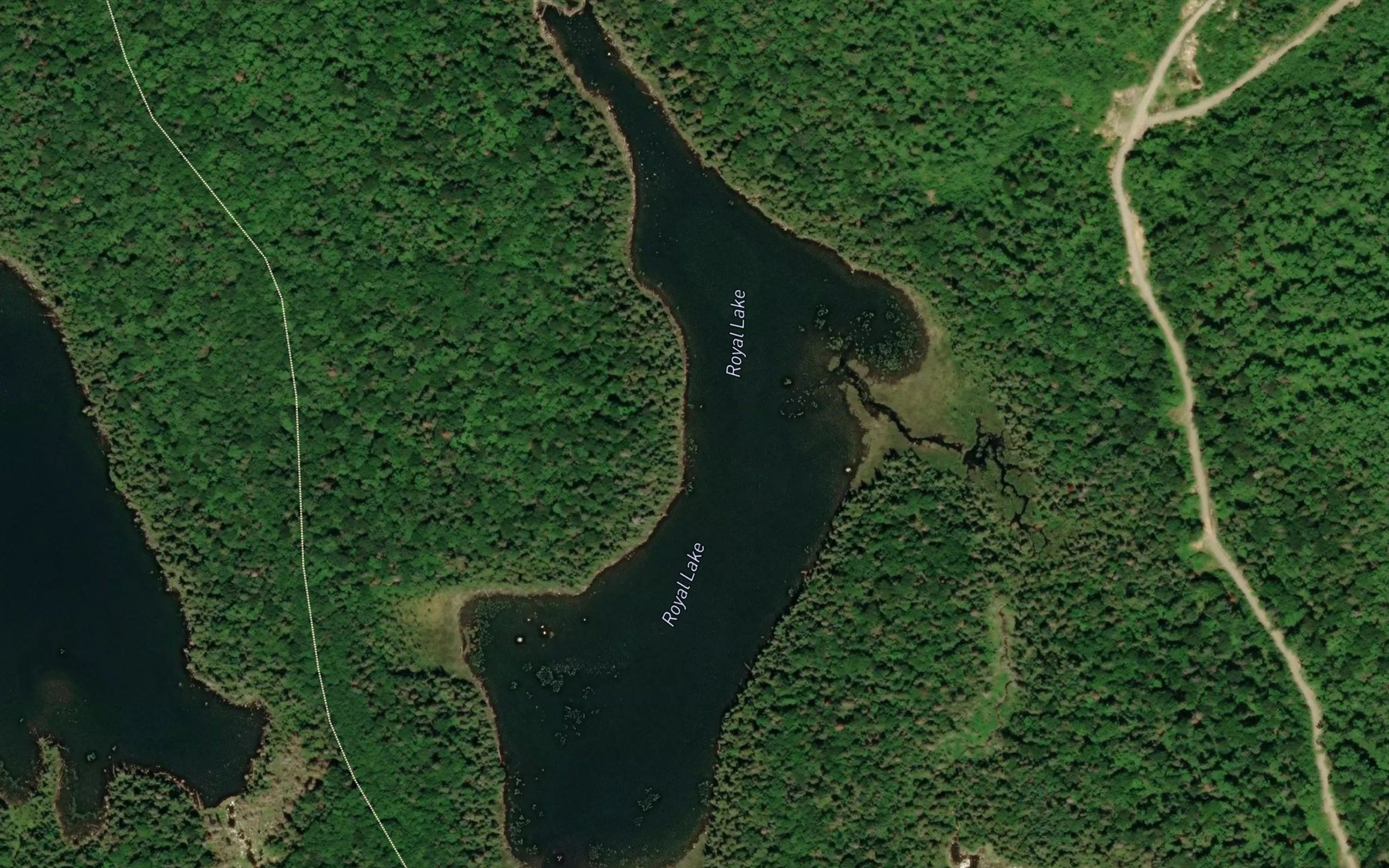 Satellite map of the Royal Lake