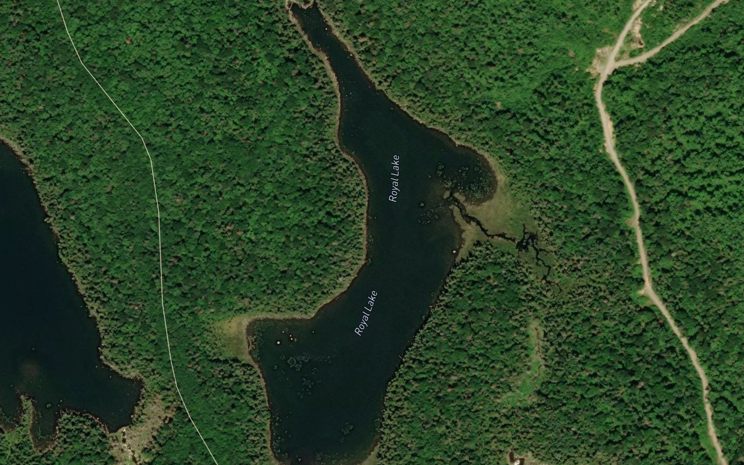 Royal Lake