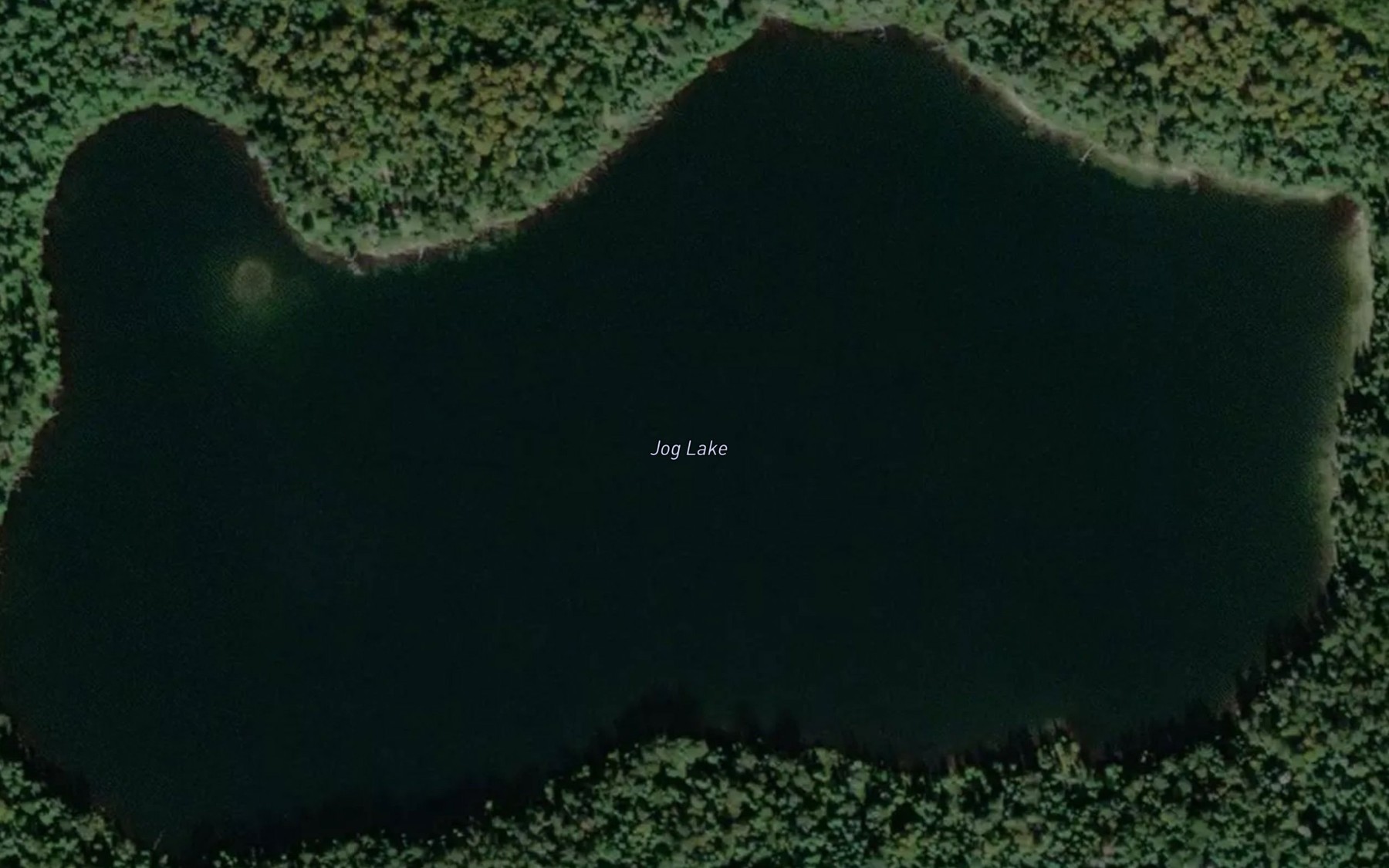 Satellite map of the Jog Lake