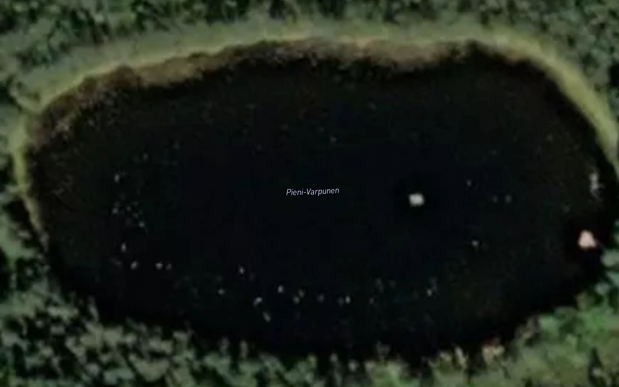 Pieni-Varpunen