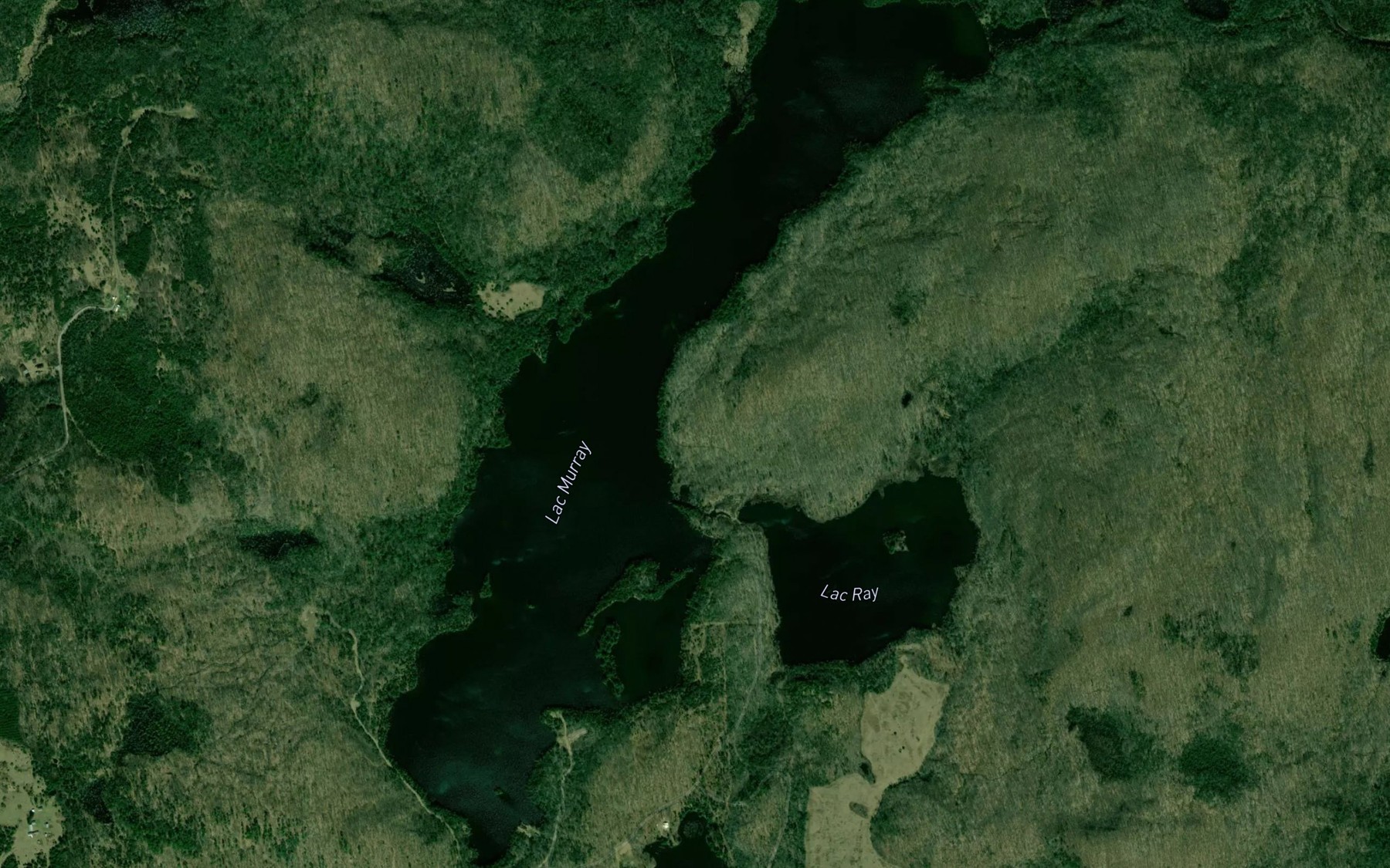 Satellite map of the Lac Murray