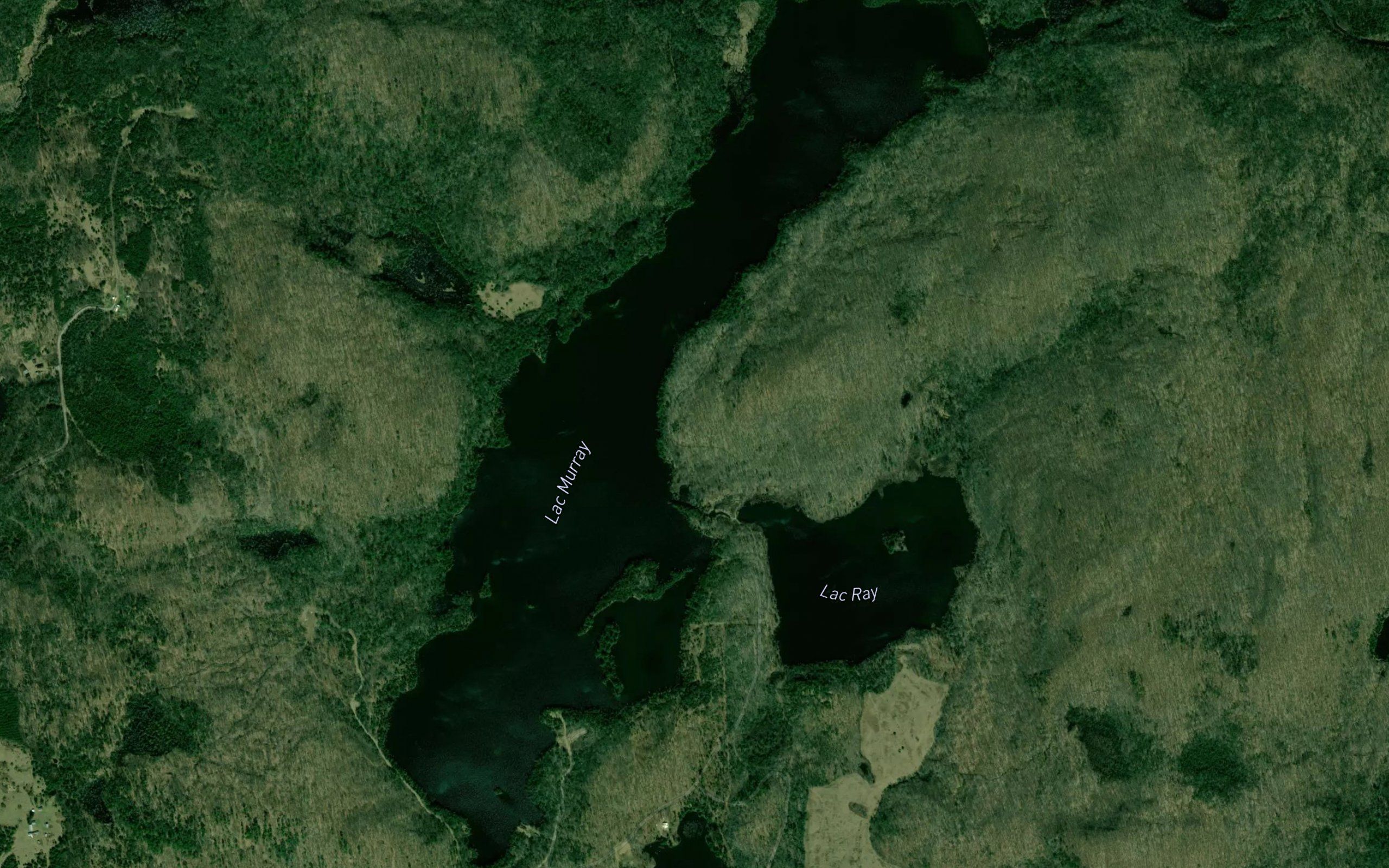 Lac Murray