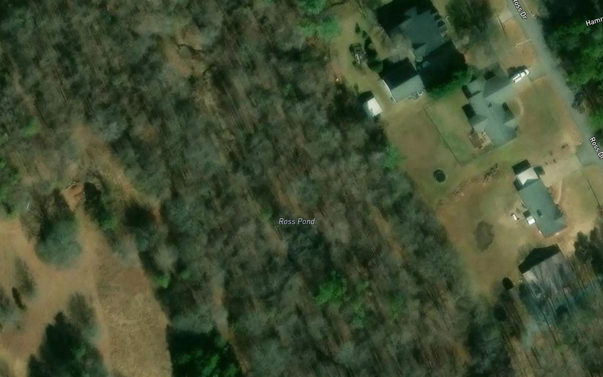Ross Pond