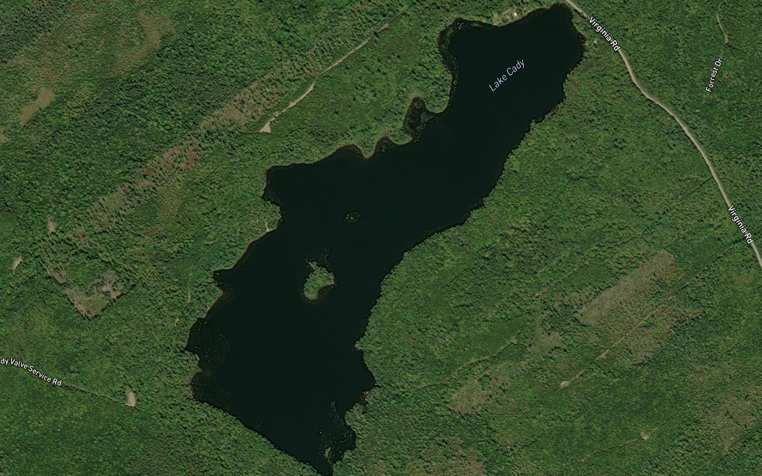 Lake Cady