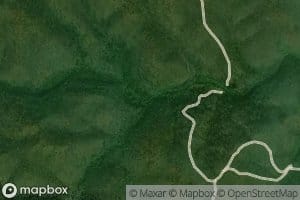 Little Wild Dog Creek