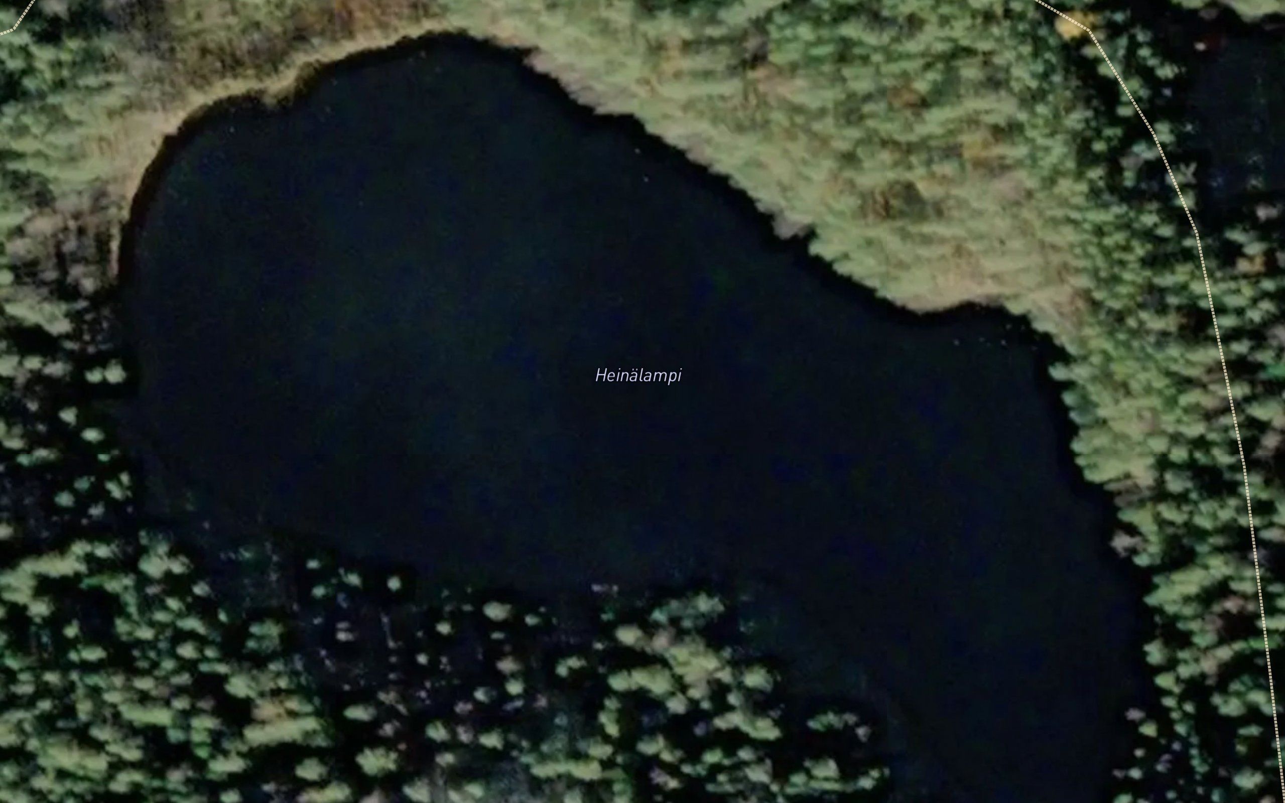Heinalampi