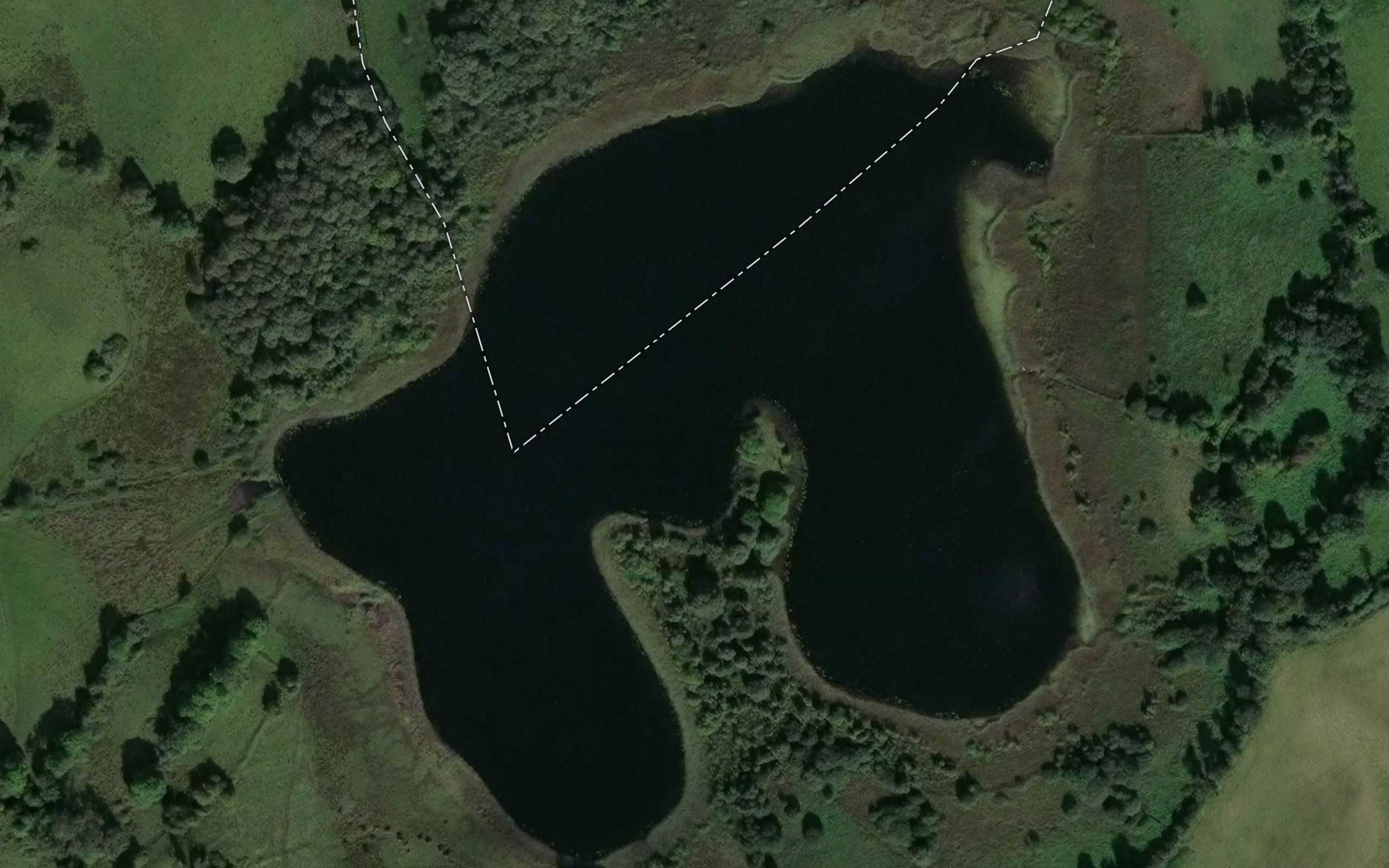 Newtown Lough