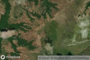 Morichal Campo Alegre