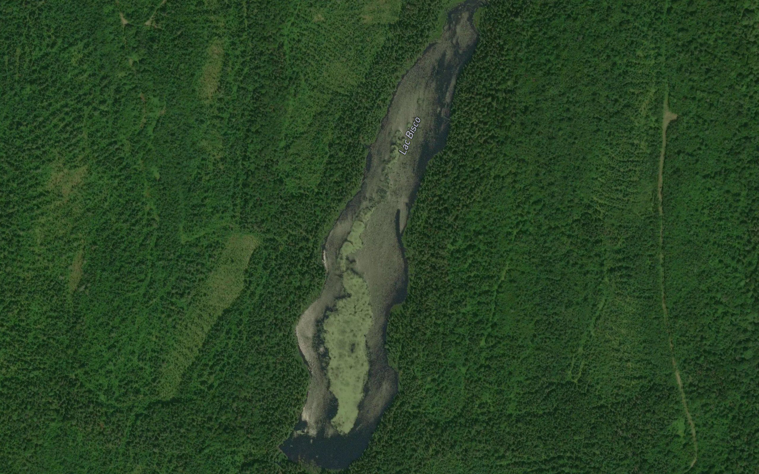 Lac Bisco