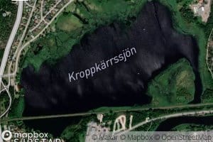 Kroppkarrssjon
