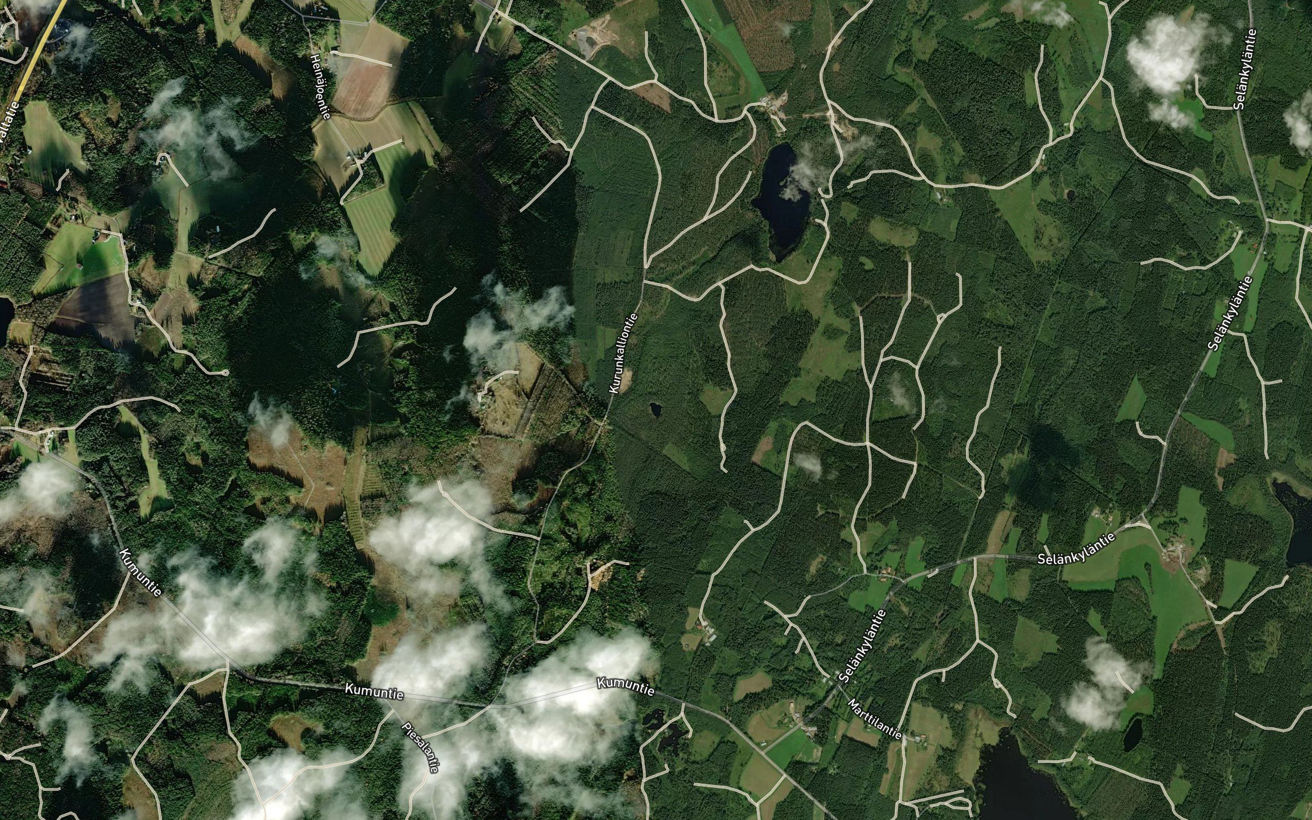 Suosilmalampi