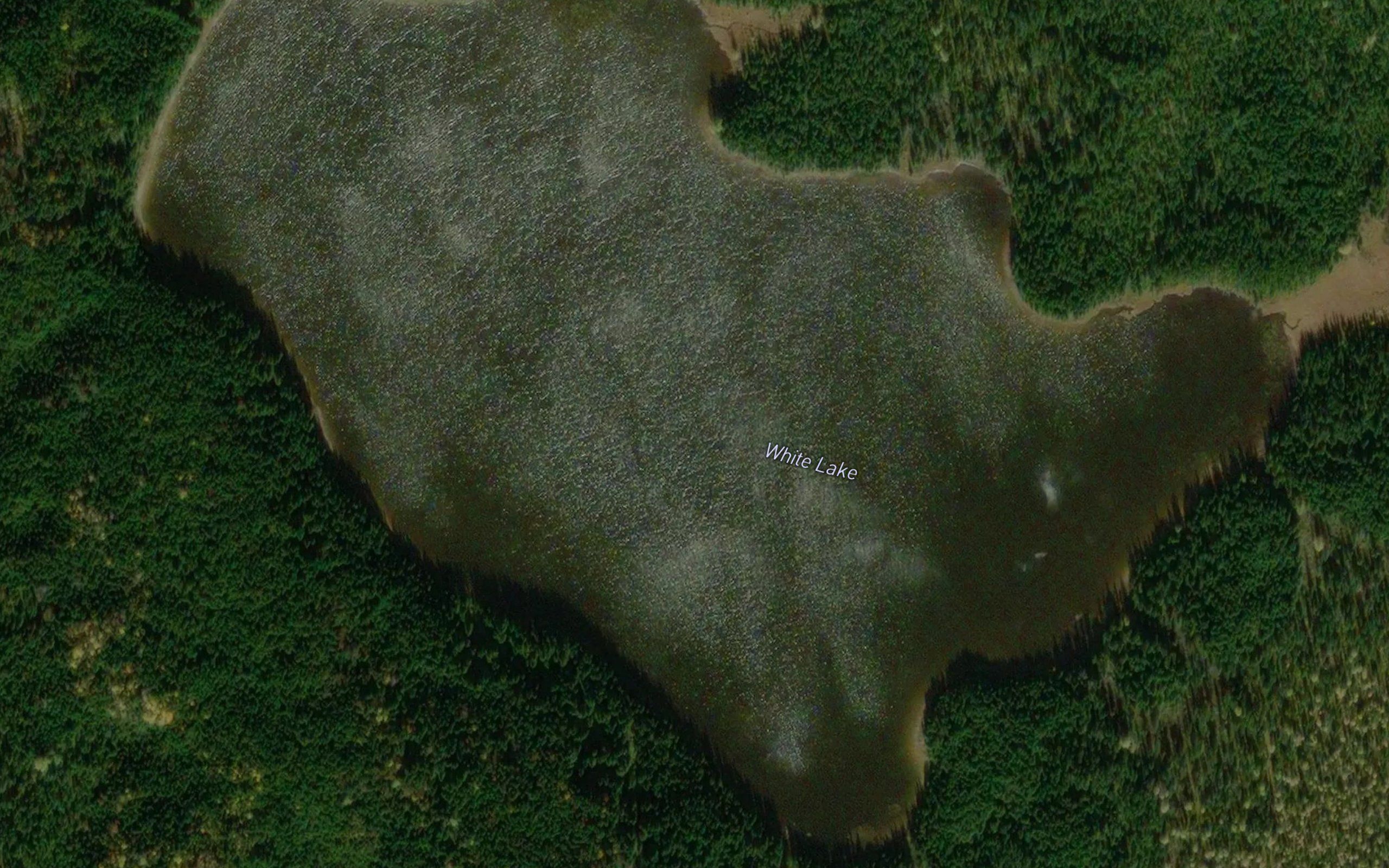 White Lake