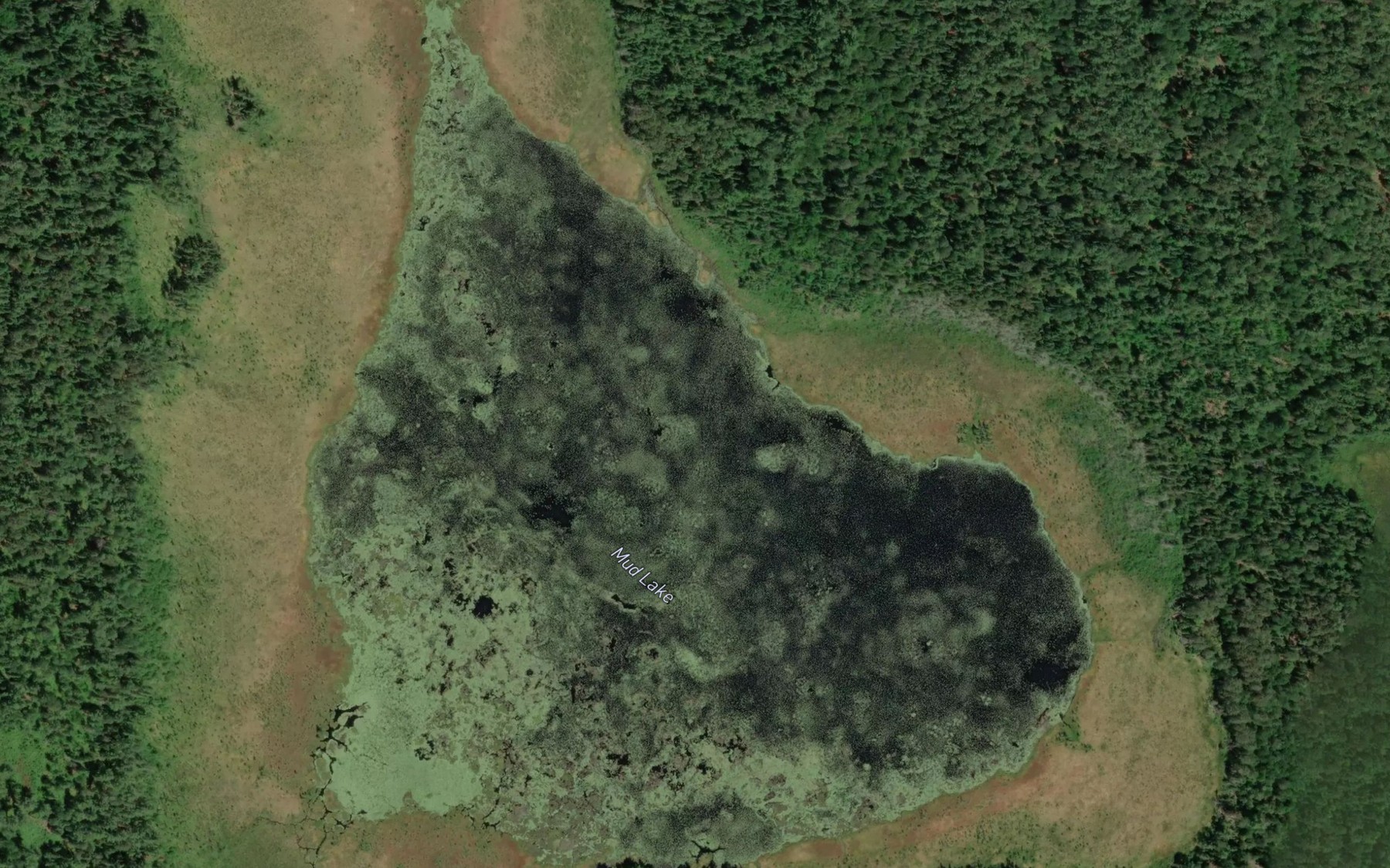 Satellite map of the Mud Lake