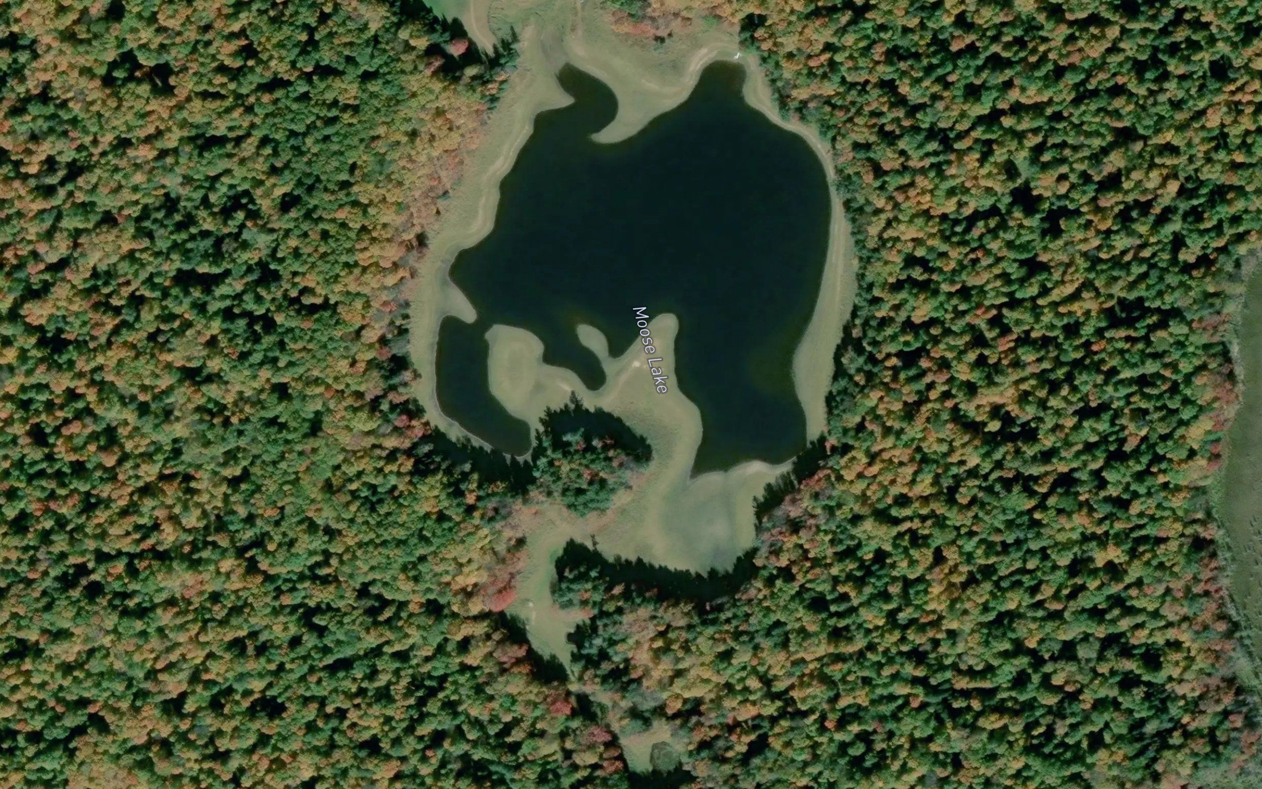 Moose Lake