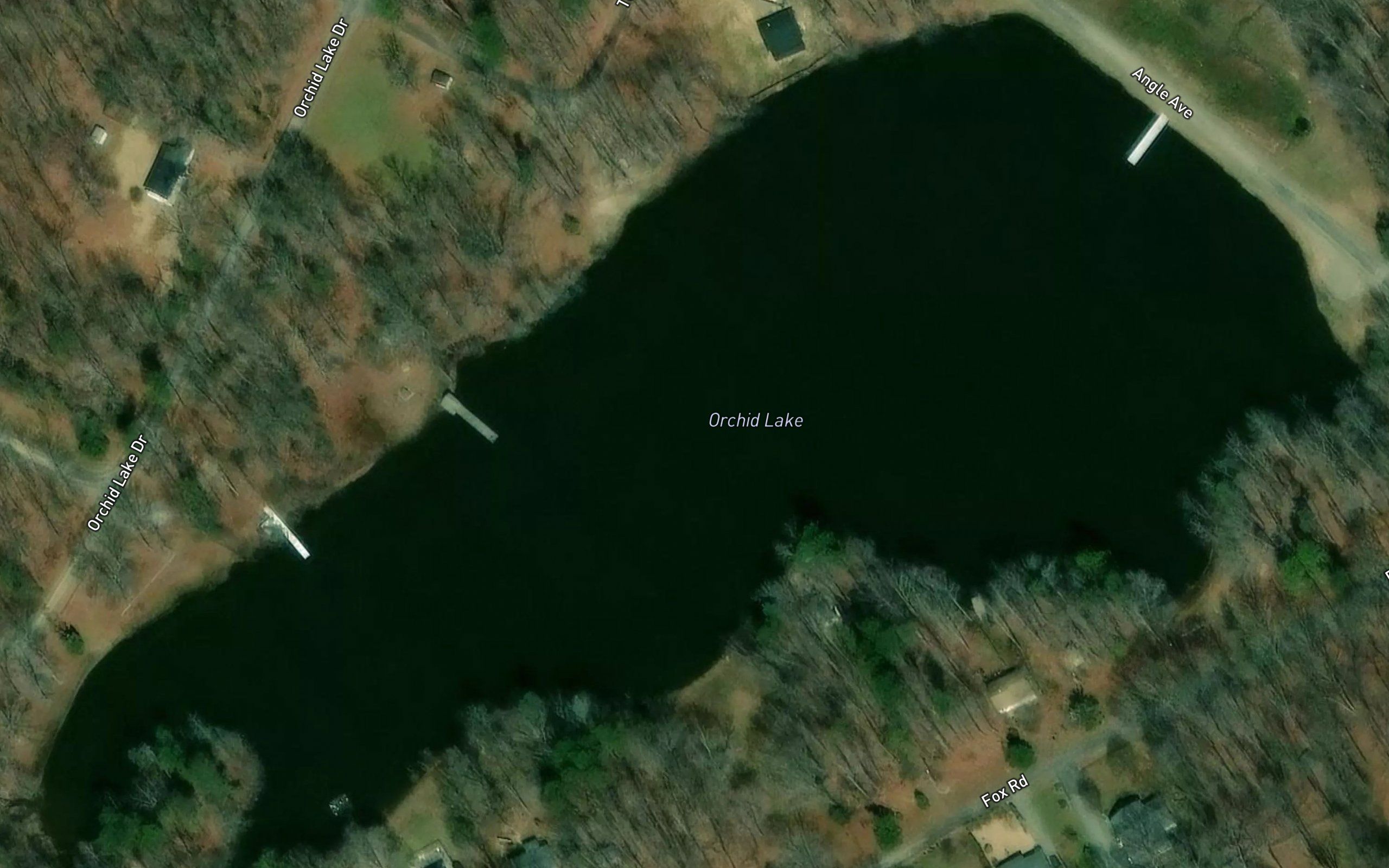 Orchid Lake