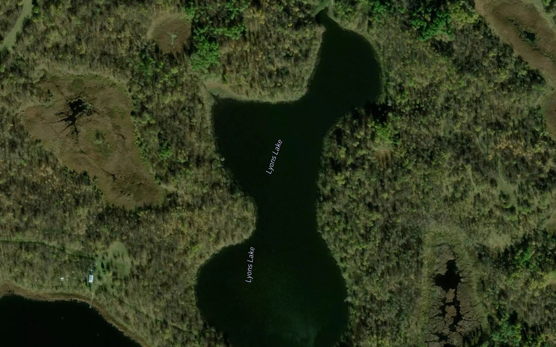 Satellite map of the Lyons Lake
