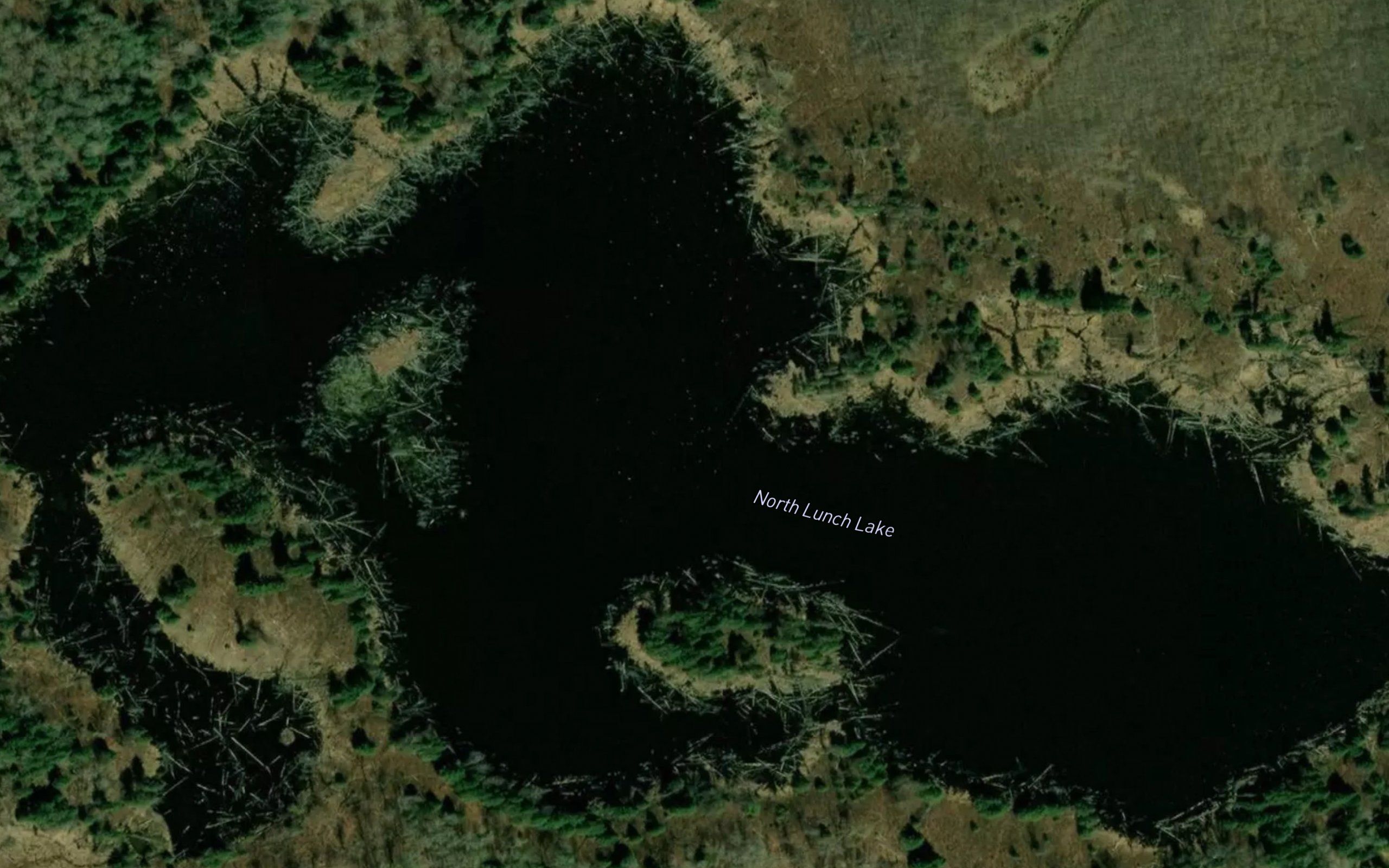 North Lunch Lake