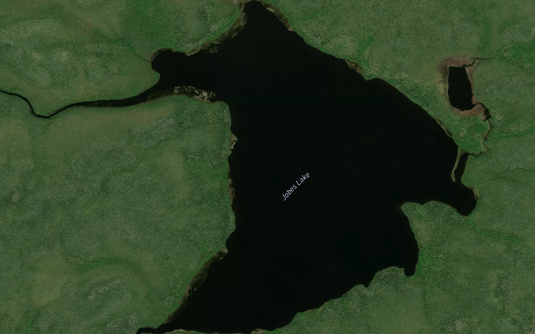 Satellite map of the Jobes Lake