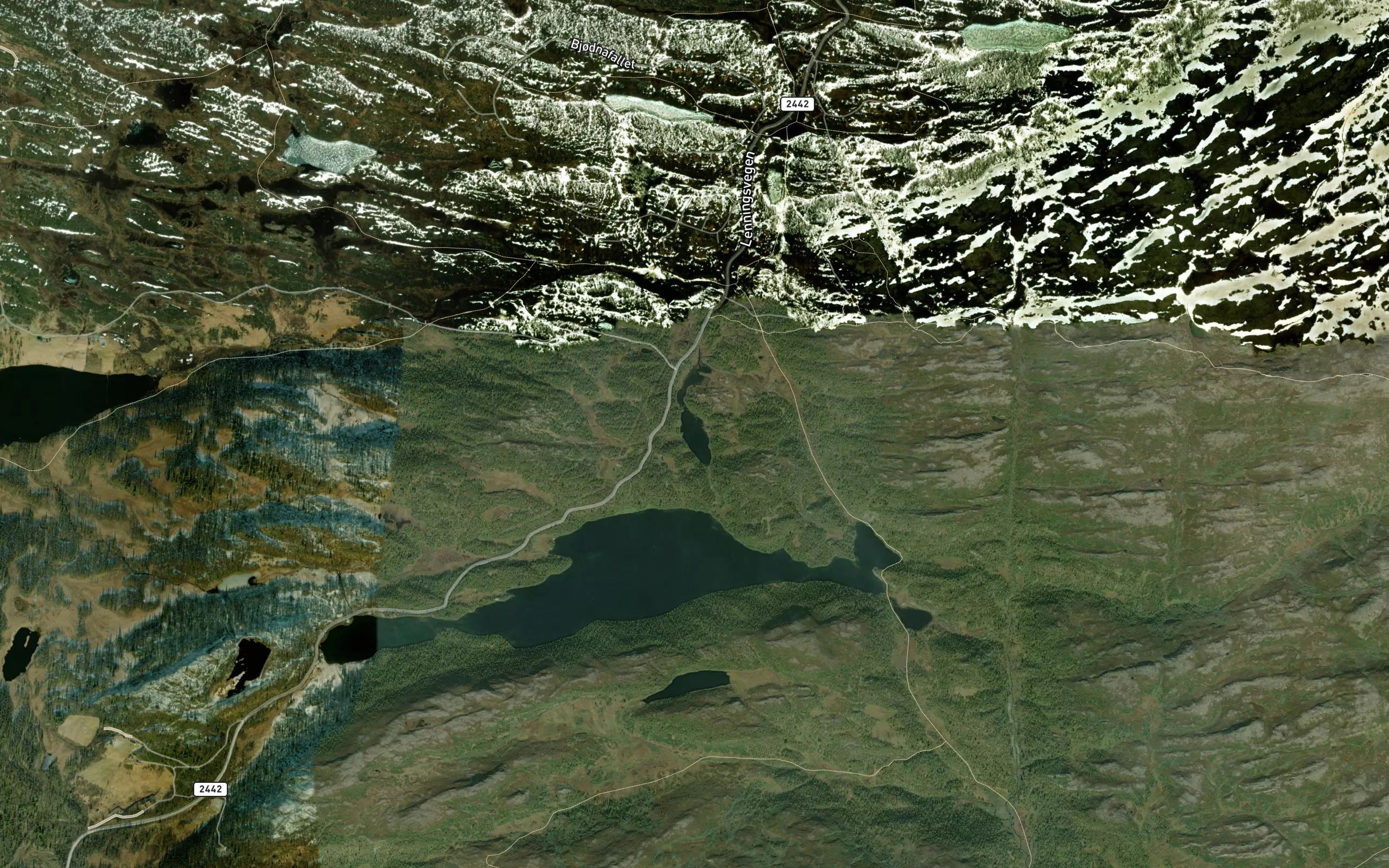 Rogletjednet