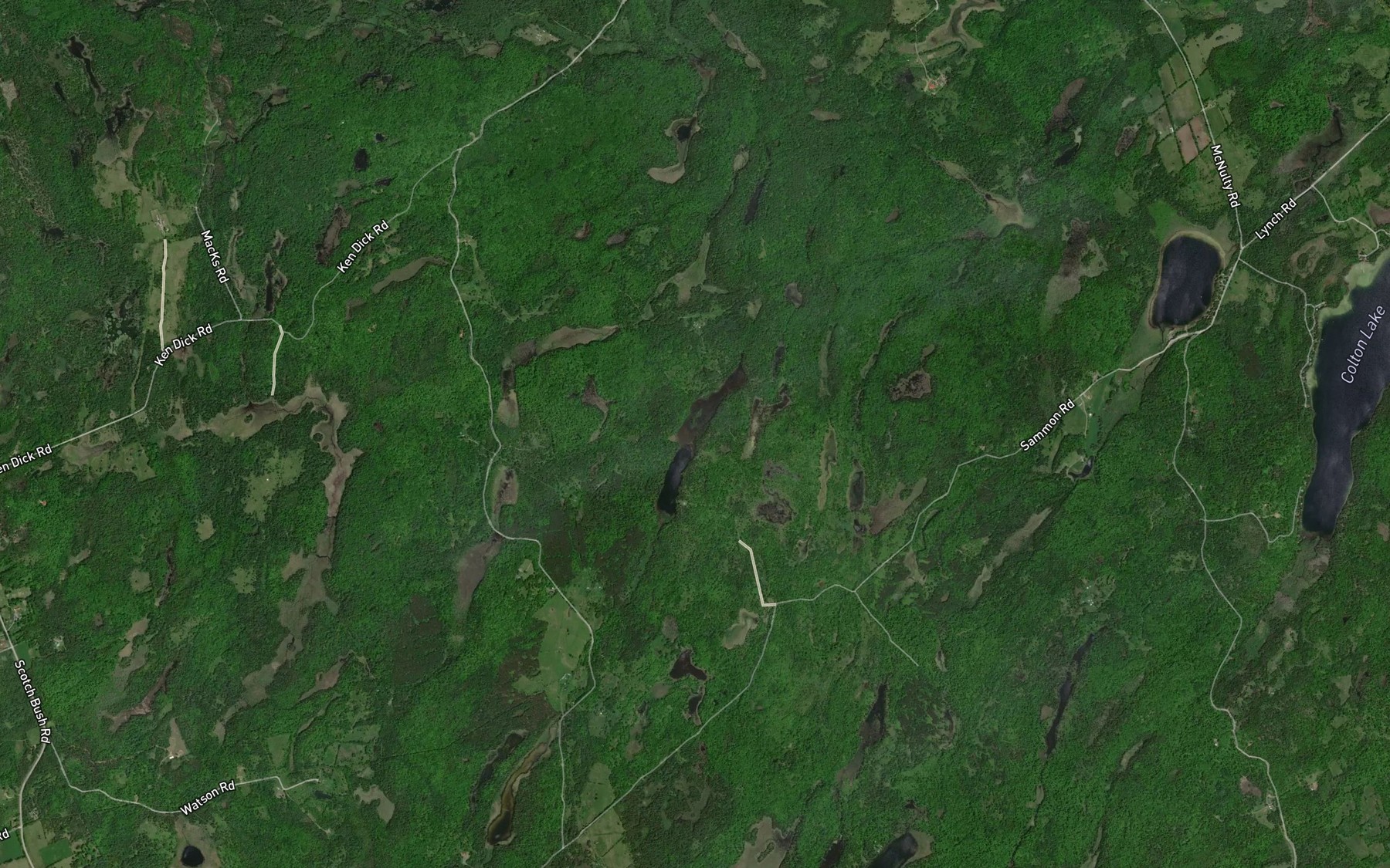 Satellite map of the Lynchs Lake