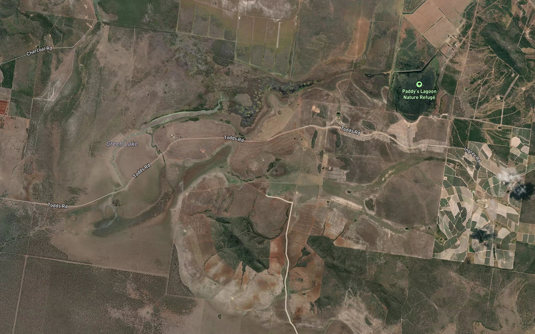 Satellite map of the Reedy Lake