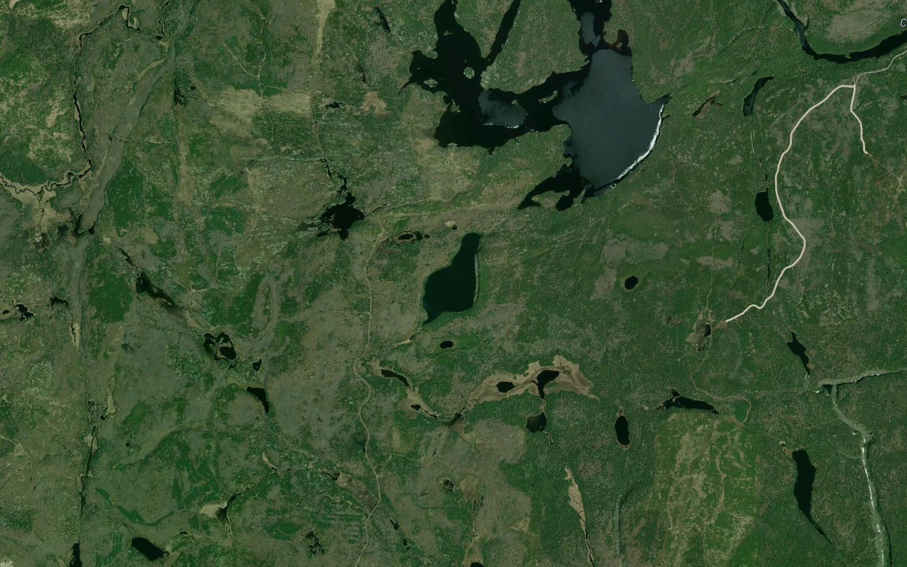 Satellite map of the Wiggins Lake