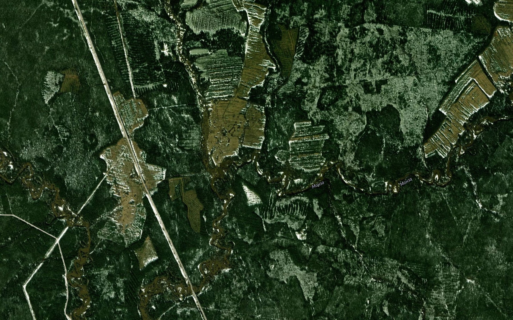 Satellite map of the Monza