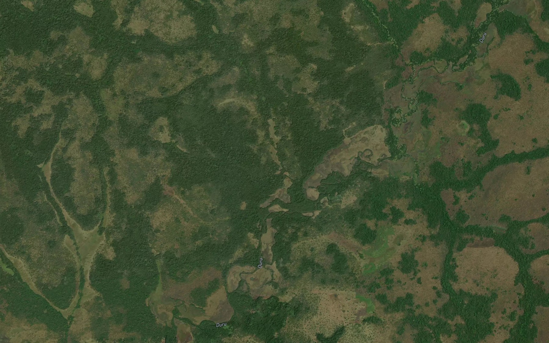 Satellite map of the Guangi
