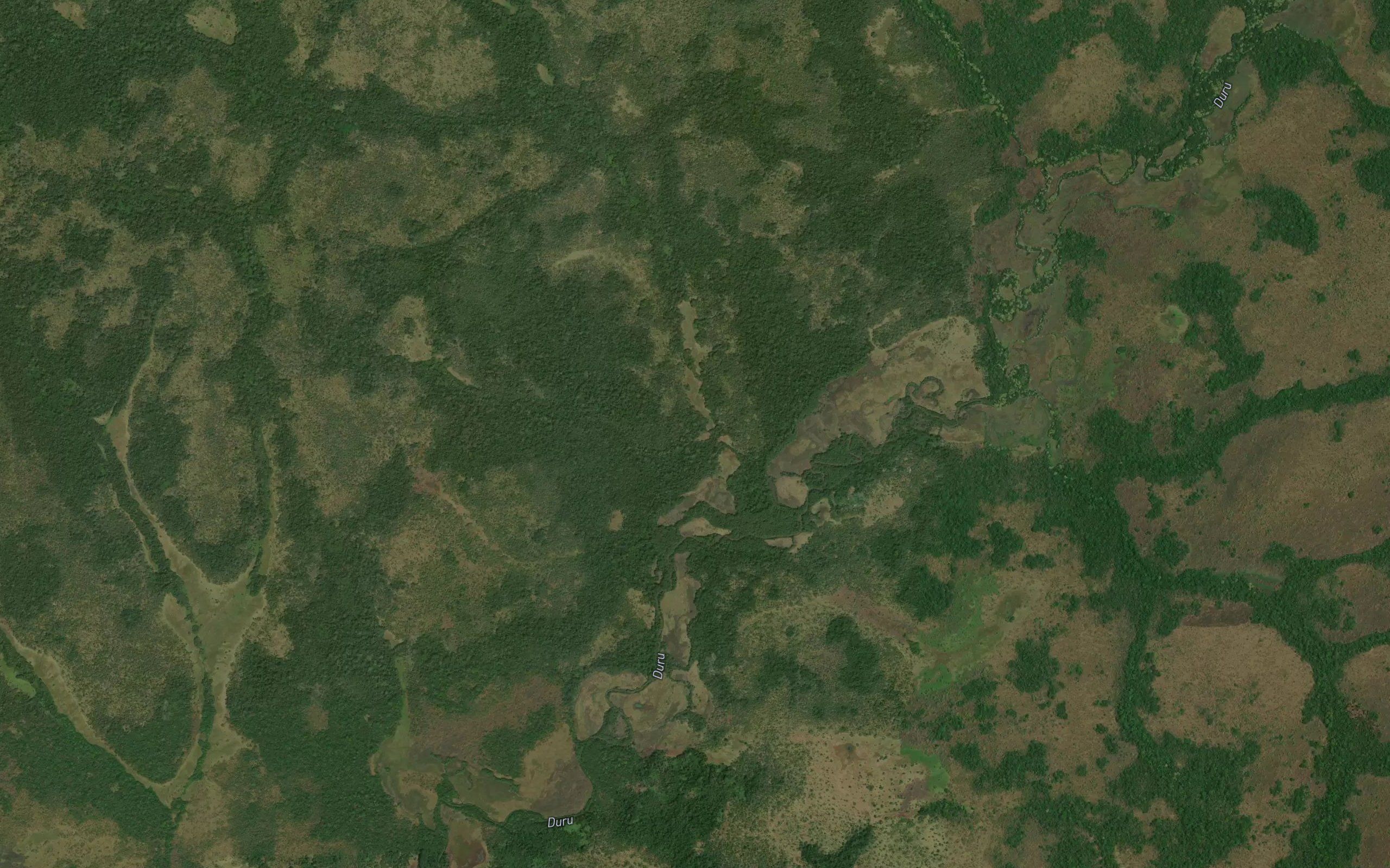 Guangi
